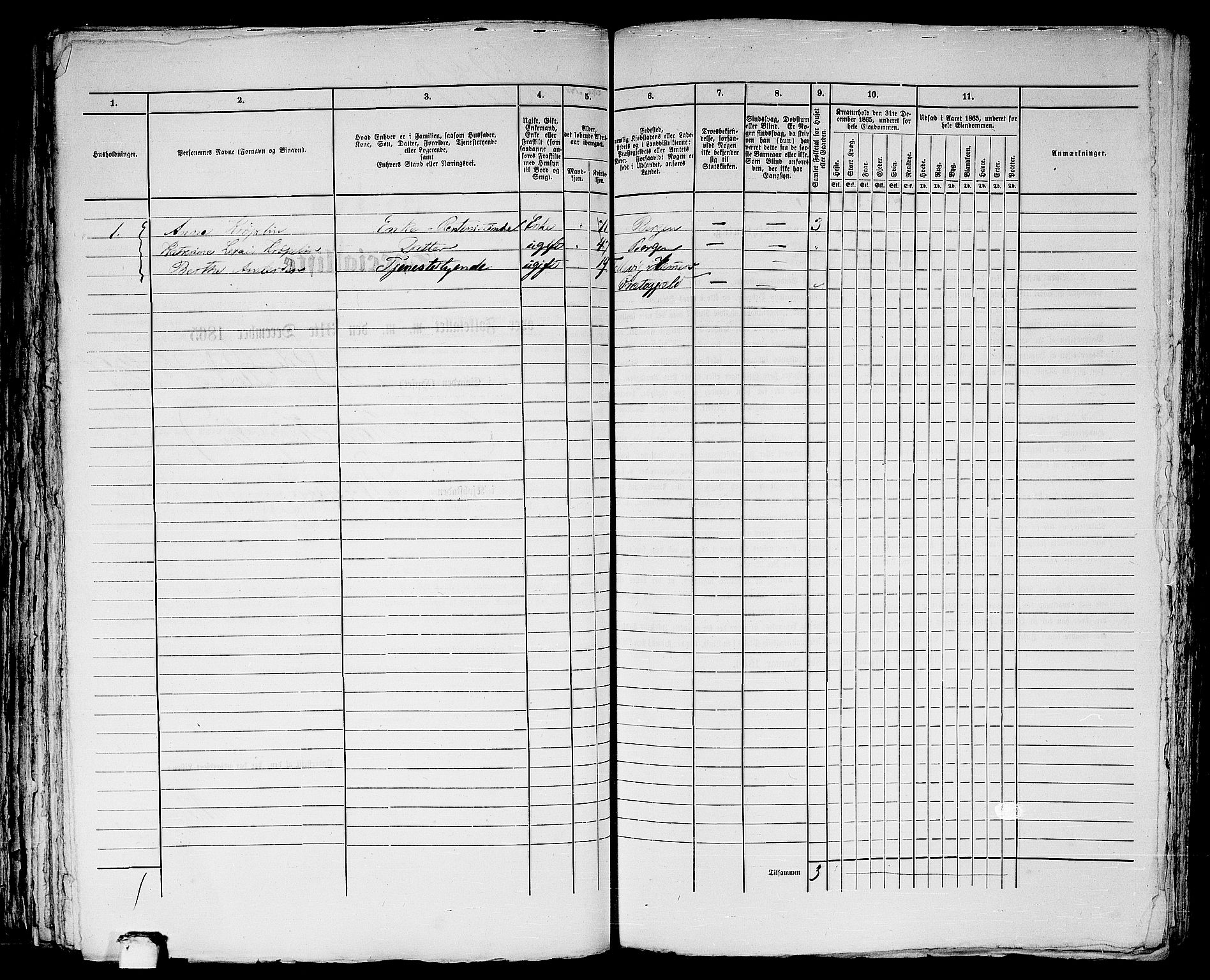 RA, 1865 census for Bergen, 1865, p. 3755