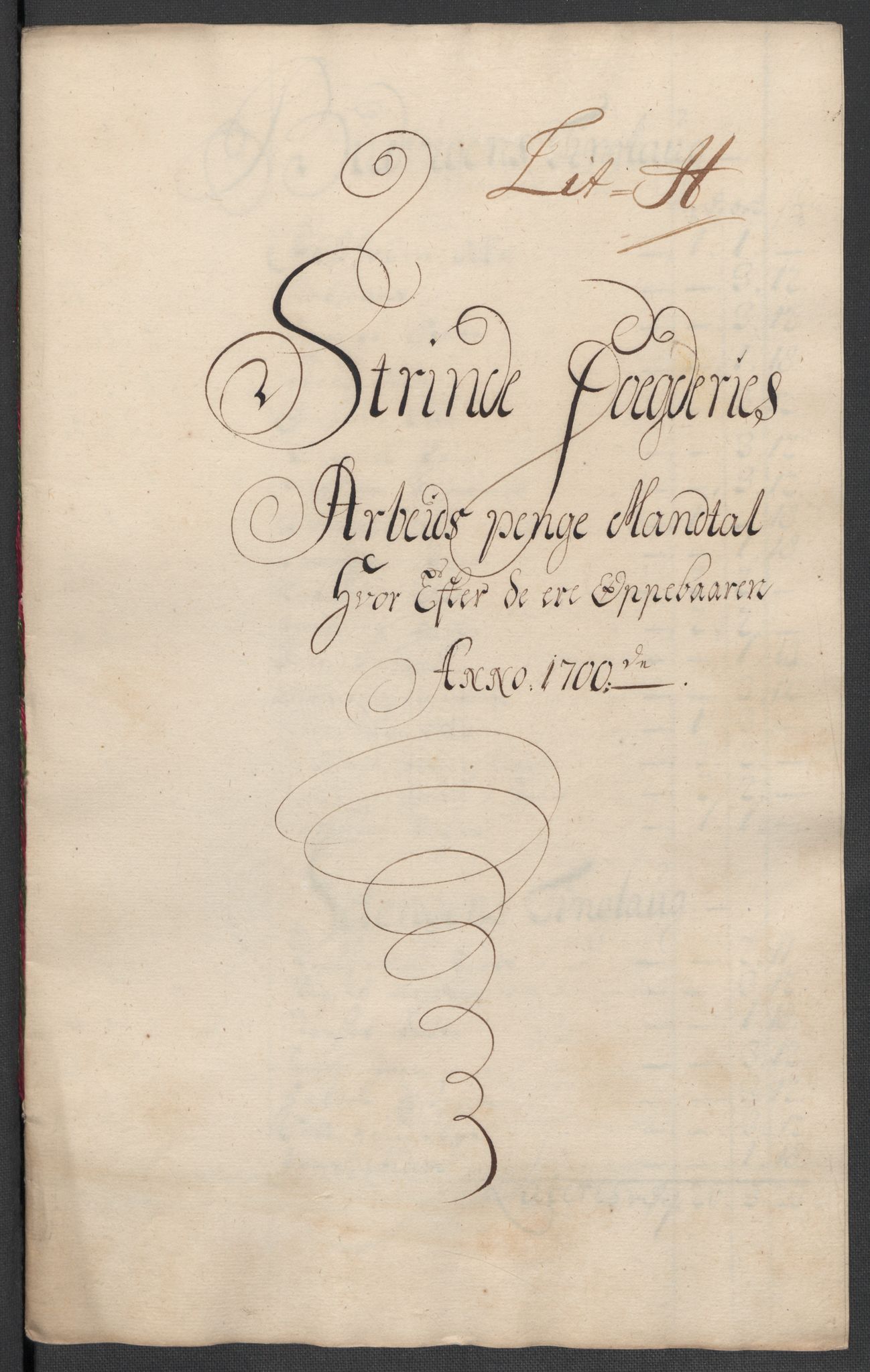 Rentekammeret inntil 1814, Reviderte regnskaper, Fogderegnskap, AV/RA-EA-4092/R61/L4107: Fogderegnskap Strinda og Selbu, 1698-1700, p. 380