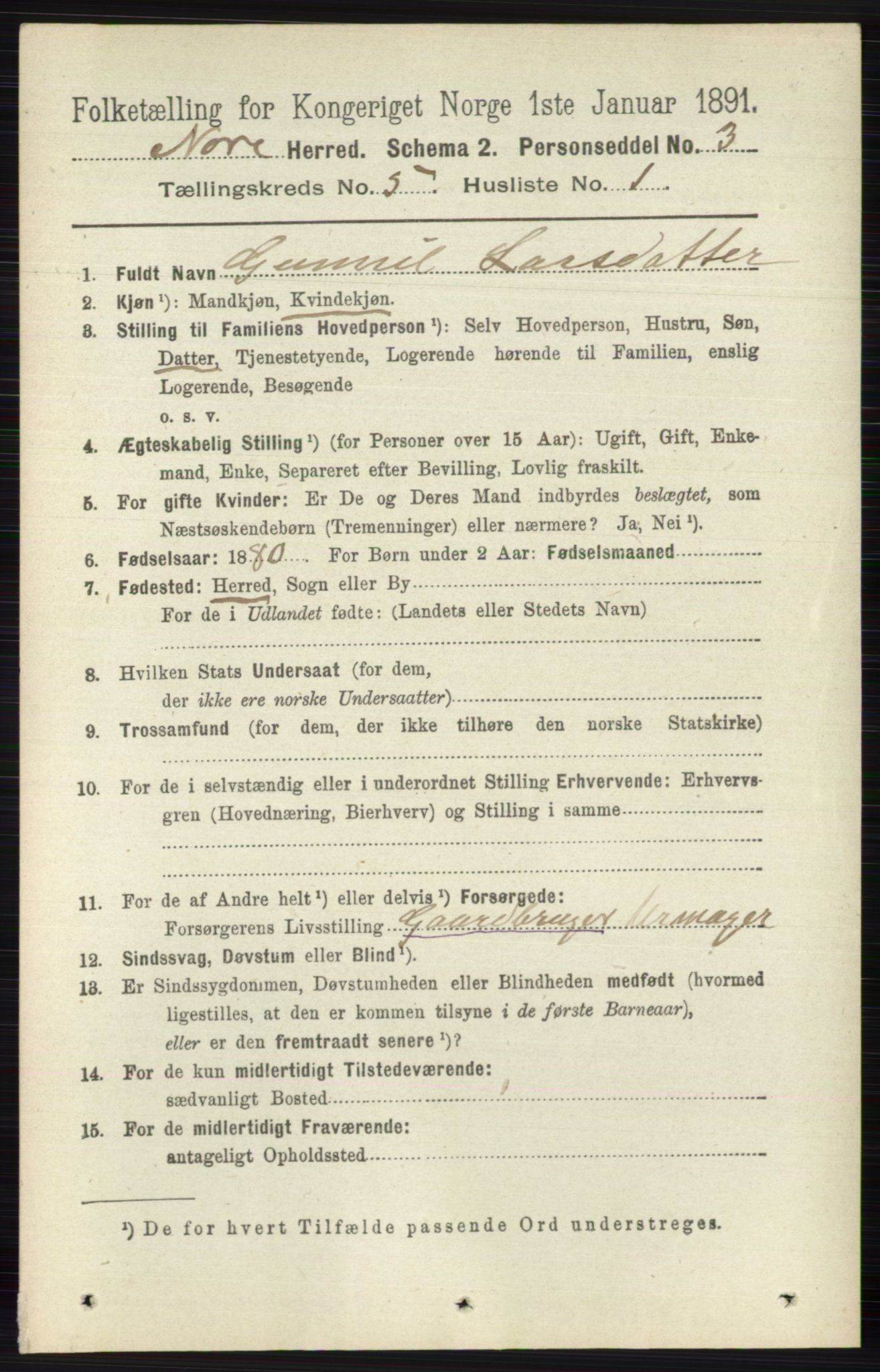 RA, 1891 census for 0633 Nore, 1891, p. 1566