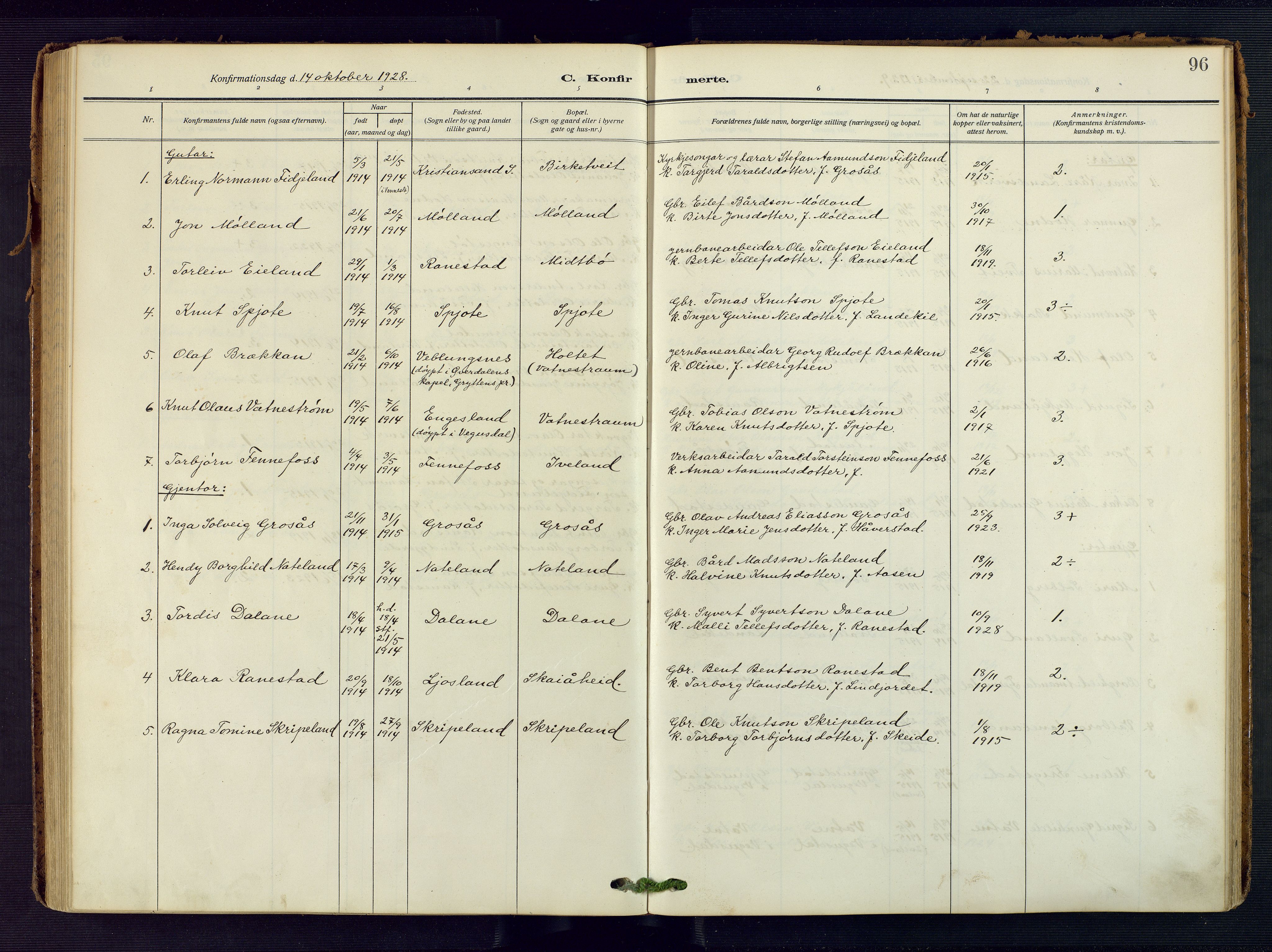 Evje sokneprestkontor, AV/SAK-1111-0008/F/Fa/Fac/L0004: Parish register (official) no. A 4, 1910-1932, p. 96