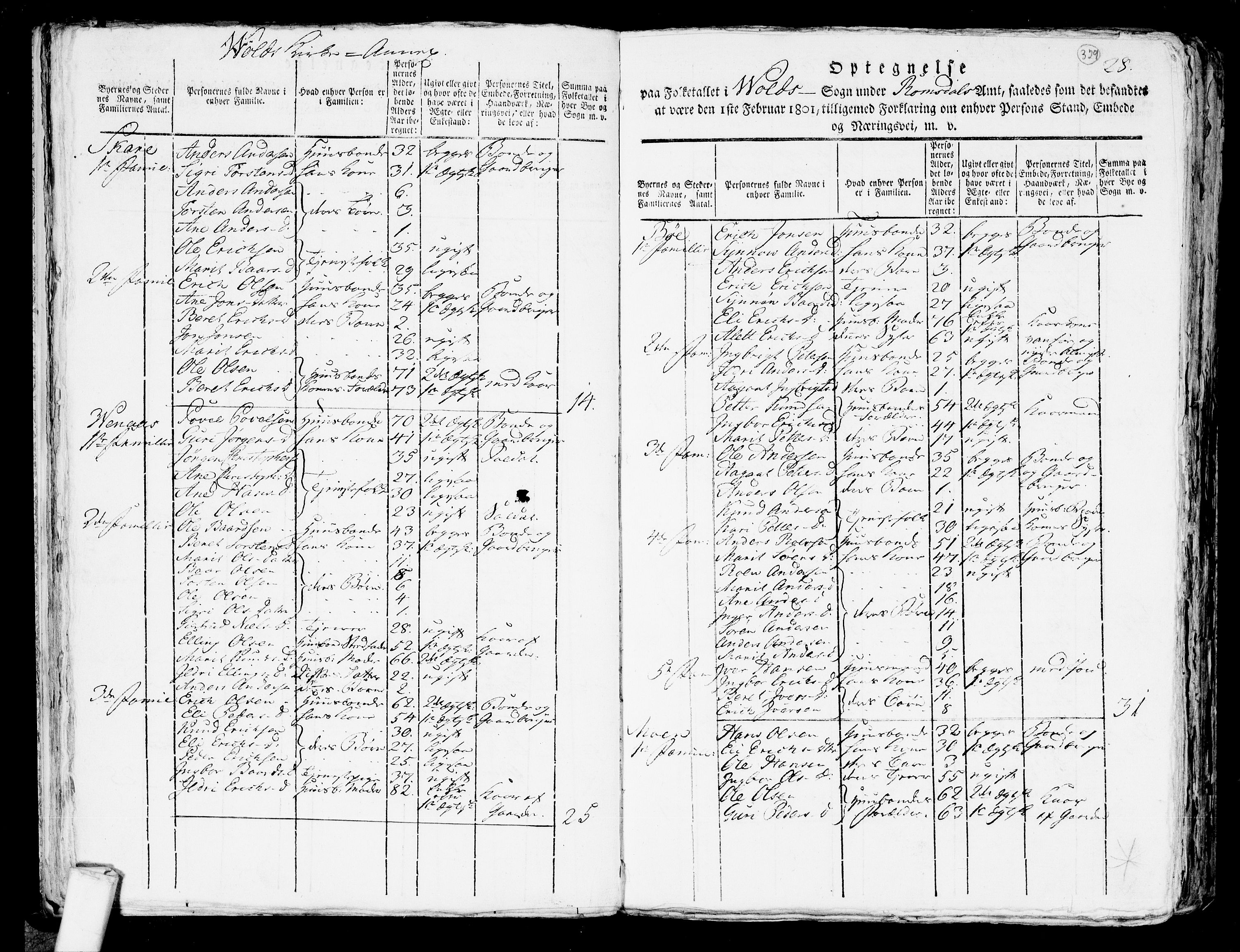 RA, 1801 census for 1539P Grytten, 1801, p. 328b-329a