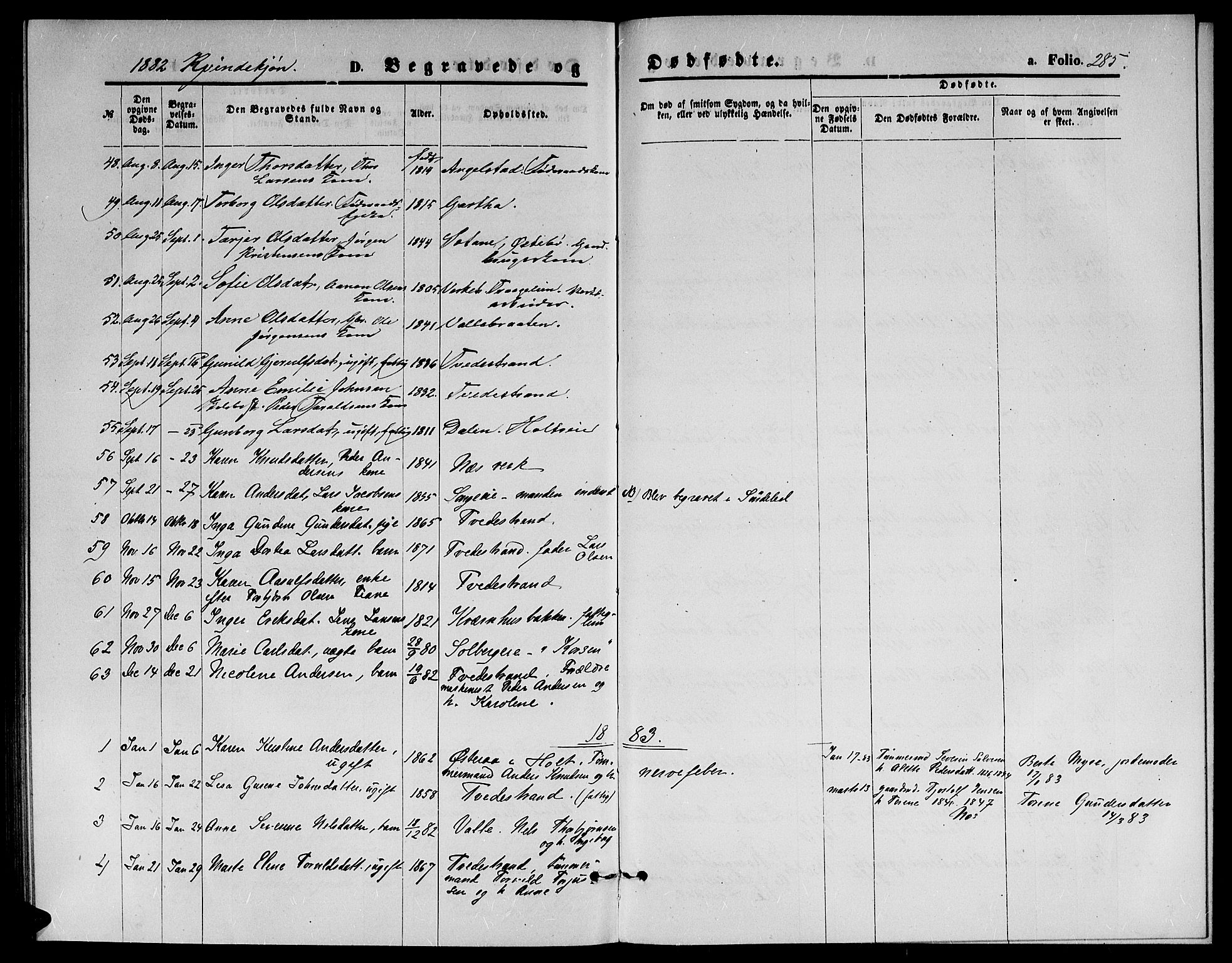 Holt sokneprestkontor, AV/SAK-1111-0021/F/Fb/L0009: Parish register (copy) no. B 9, 1871-1883, p. 285