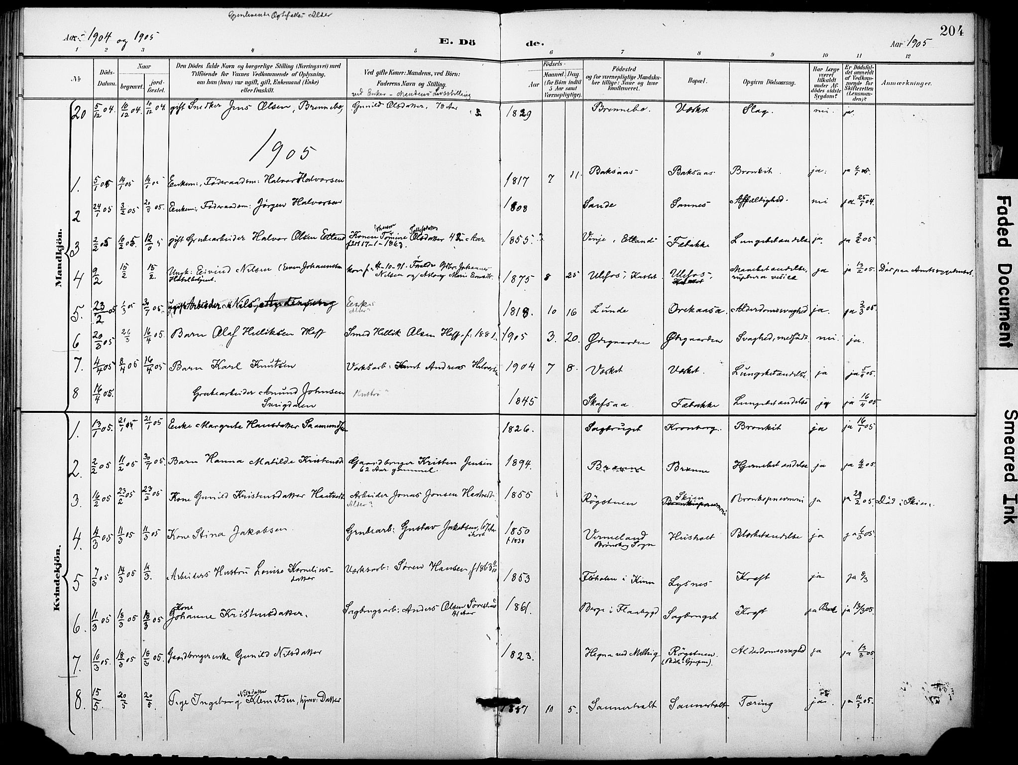 Holla kirkebøker, SAKO/A-272/F/Fa/L0010: Parish register (official) no. 10, 1897-1907, p. 204