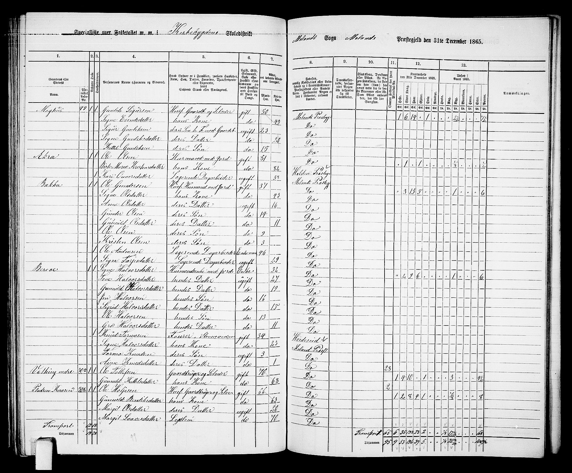 RA, 1865 census for Moland, 1865, p. 50