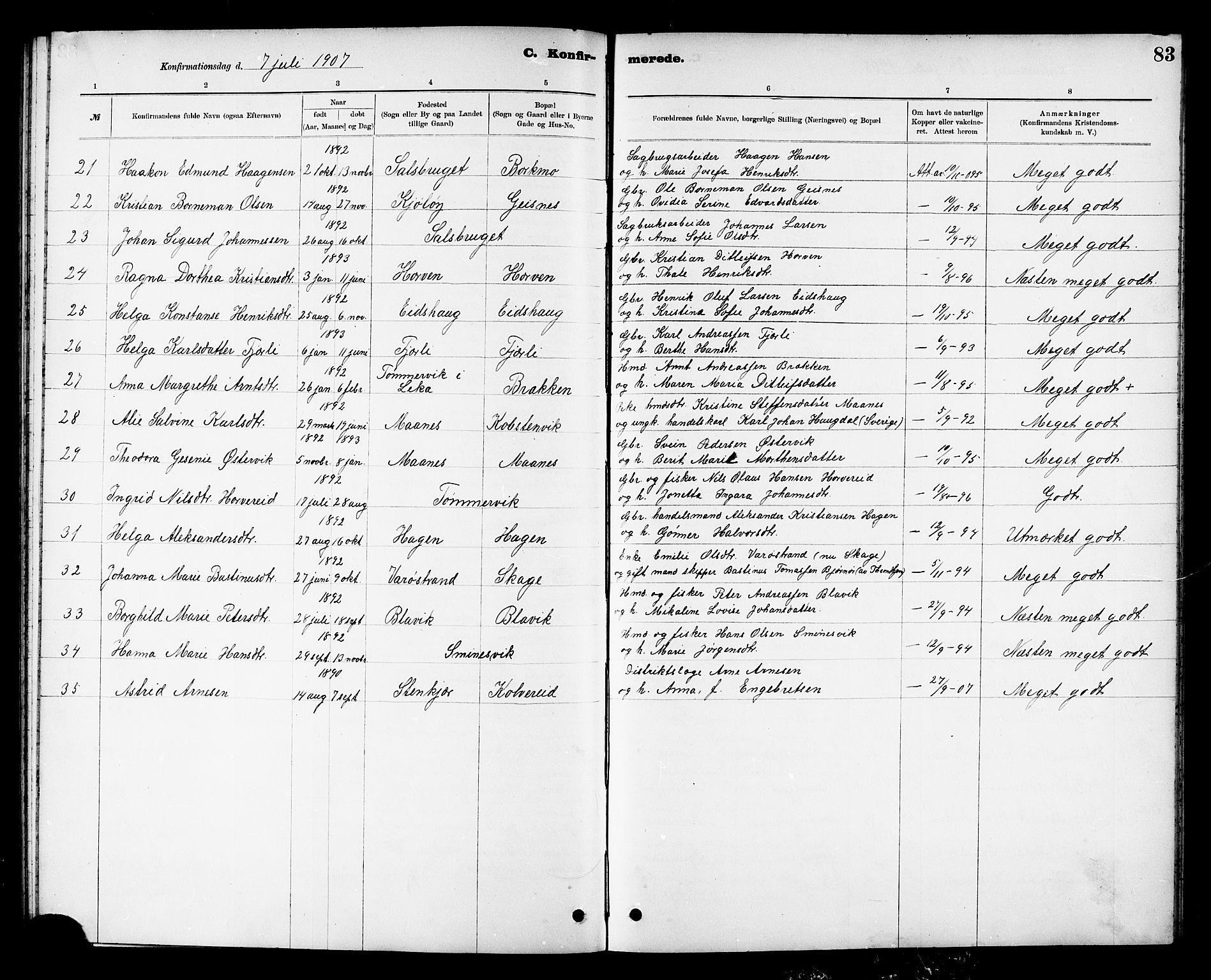 Ministerialprotokoller, klokkerbøker og fødselsregistre - Nord-Trøndelag, SAT/A-1458/780/L0652: Parish register (copy) no. 780C04, 1899-1911, p. 83