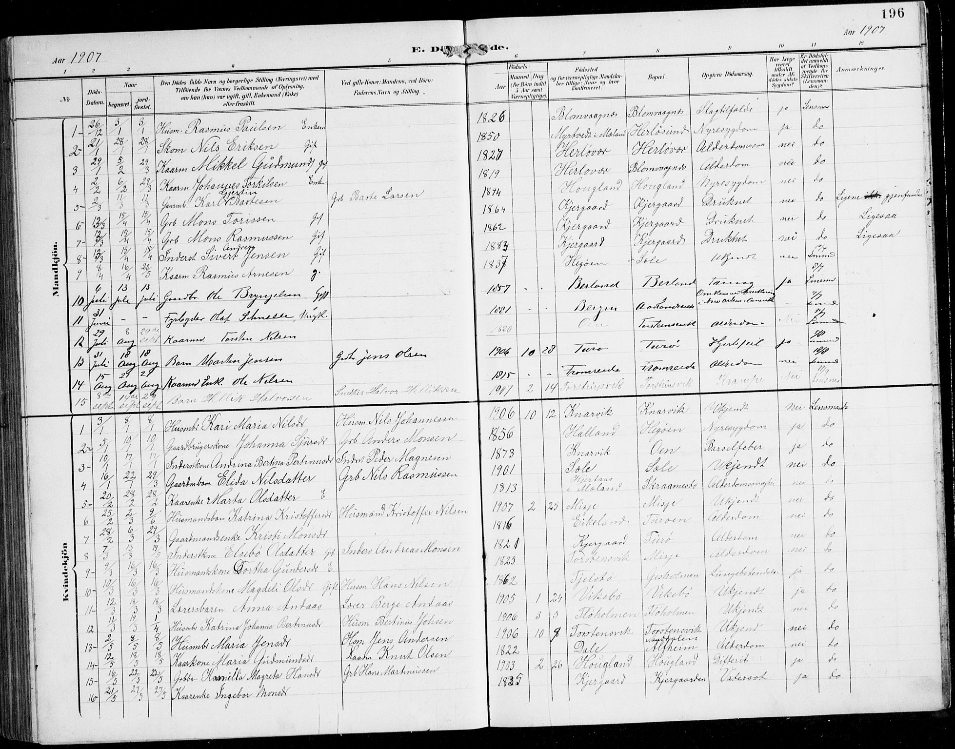 Herdla Sokneprestembete, SAB/A-75701/H/Hab: Parish register (copy) no. C 1, 1900-1913, p. 196