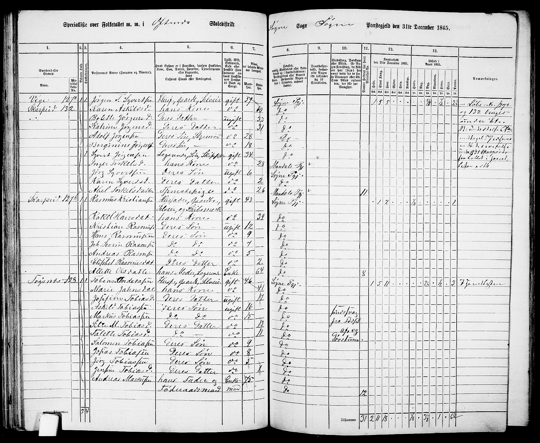 RA, 1865 census for Søgne, 1865, p. 83