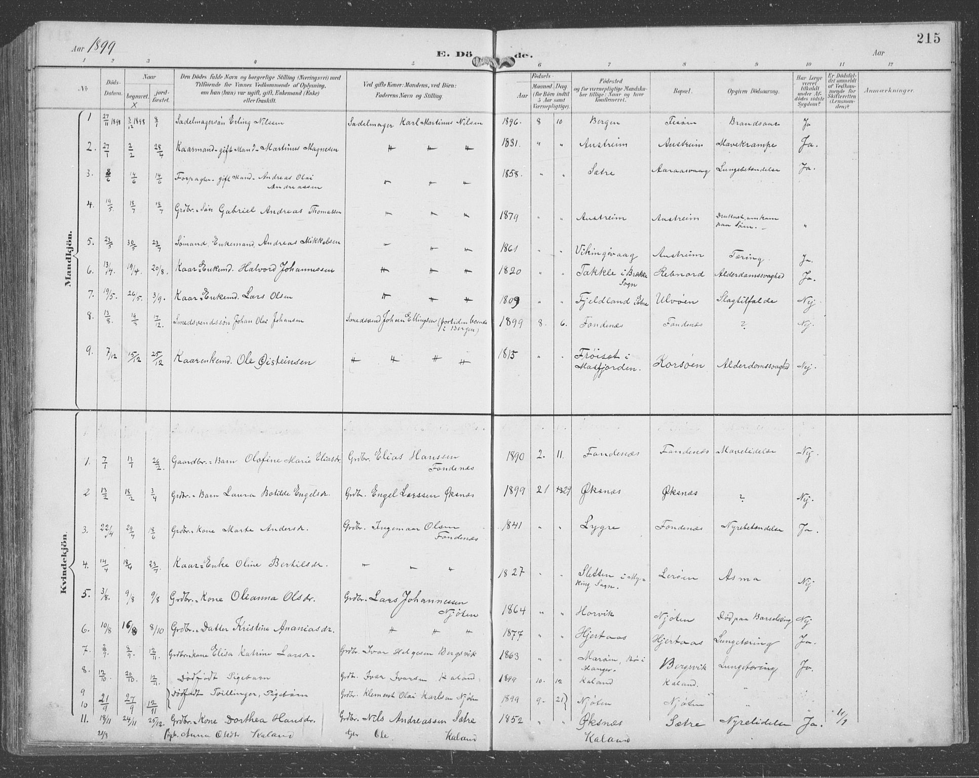 Lindås Sokneprestembete, SAB/A-76701/H/Hab: Parish register (copy) no. C 4, 1894-1910, p. 215