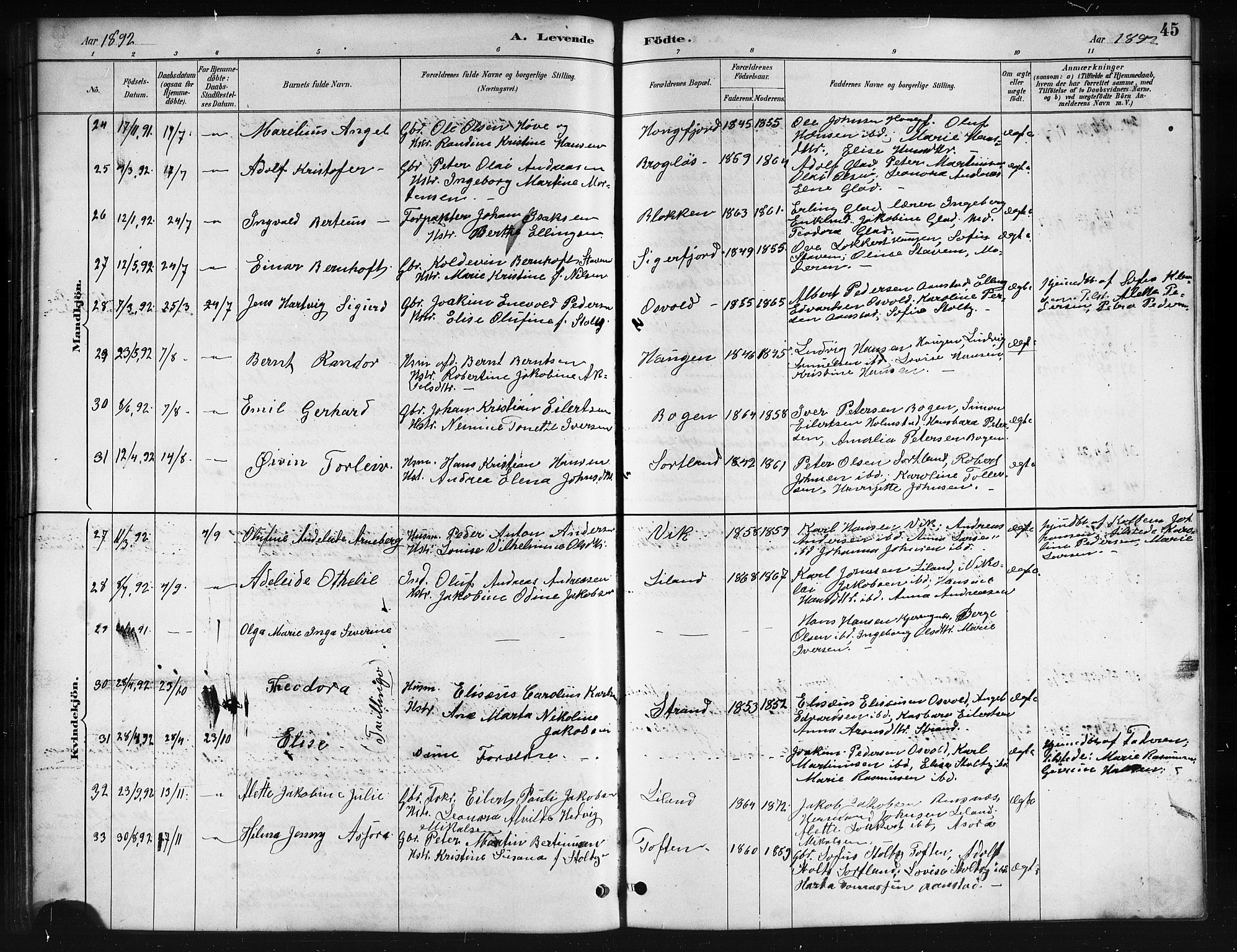 Ministerialprotokoller, klokkerbøker og fødselsregistre - Nordland, AV/SAT-A-1459/895/L1382: Parish register (copy) no. 895C04, 1885-1896, p. 45