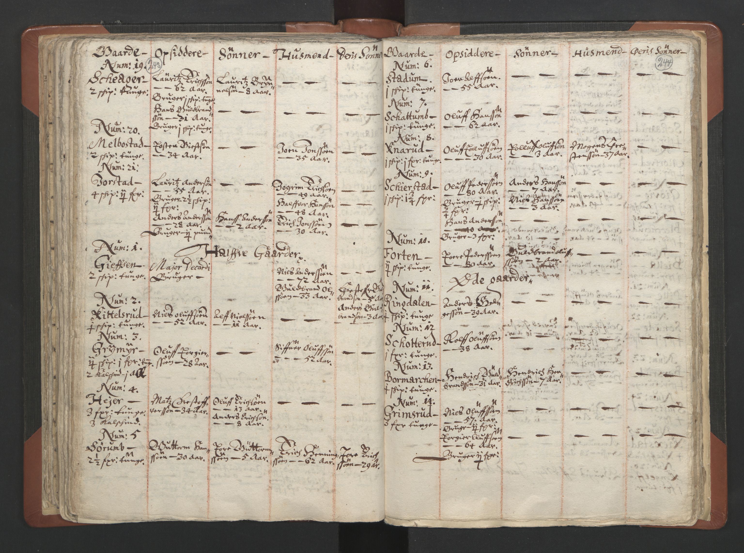 RA, Vicar's Census 1664-1666, no. 7: Hadeland deanery, 1664-1666, p. 243-244