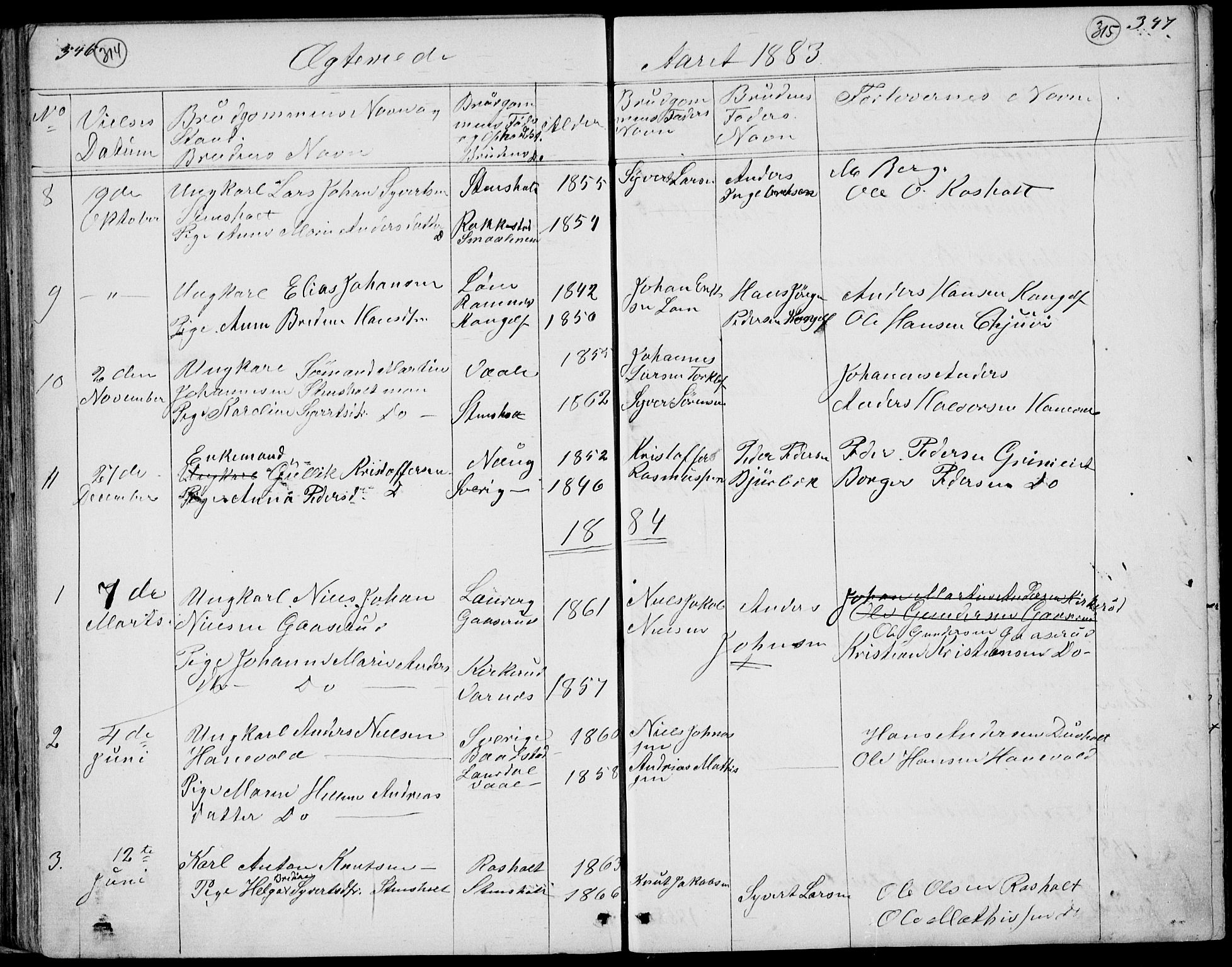 Lardal kirkebøker, AV/SAKO-A-350/G/Gc/L0001: Parish register (copy) no. III 1, 1859-1893, p. 346-347