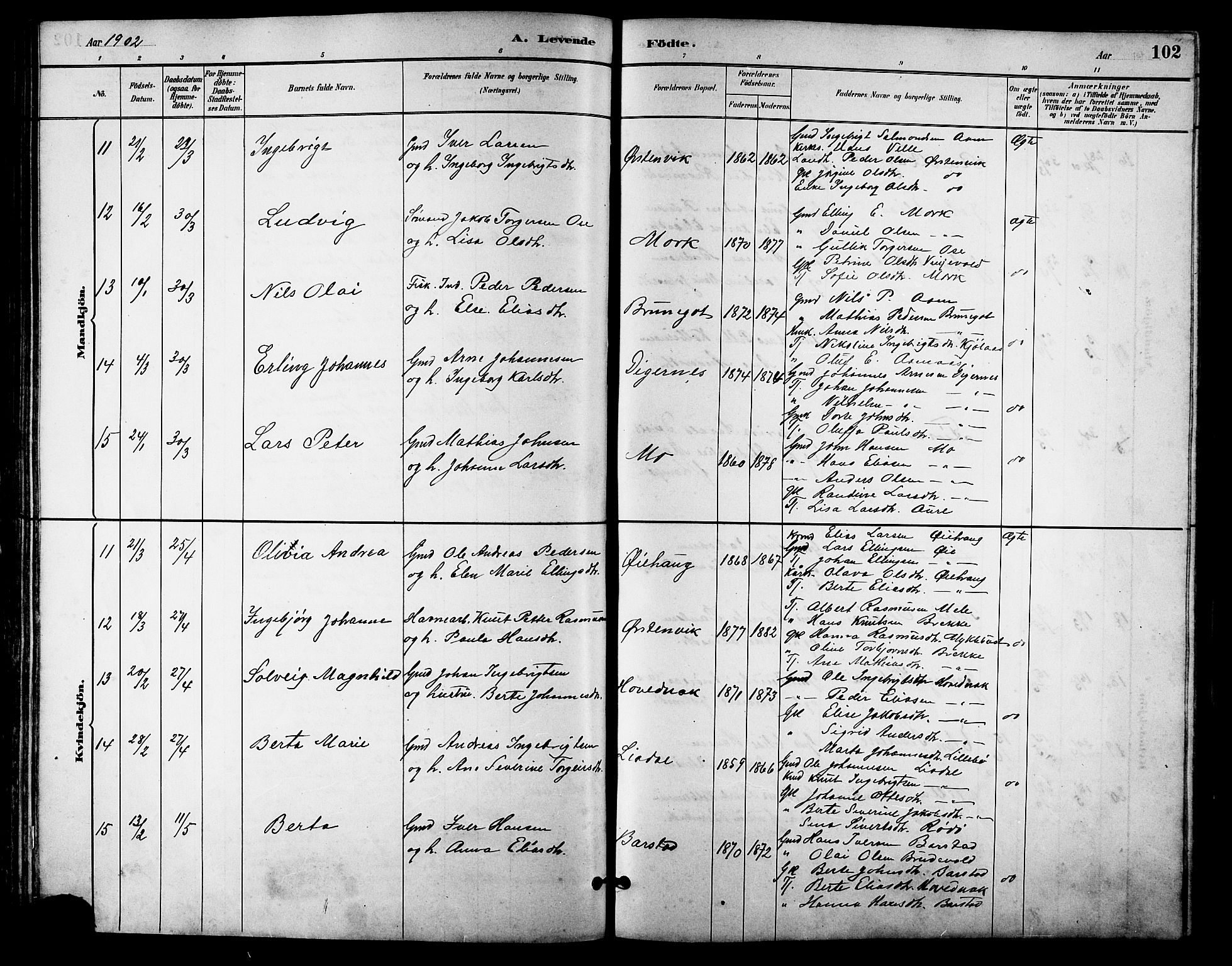 Ministerialprotokoller, klokkerbøker og fødselsregistre - Møre og Romsdal, AV/SAT-A-1454/513/L0189: Parish register (copy) no. 513C03, 1883-1904, p. 102