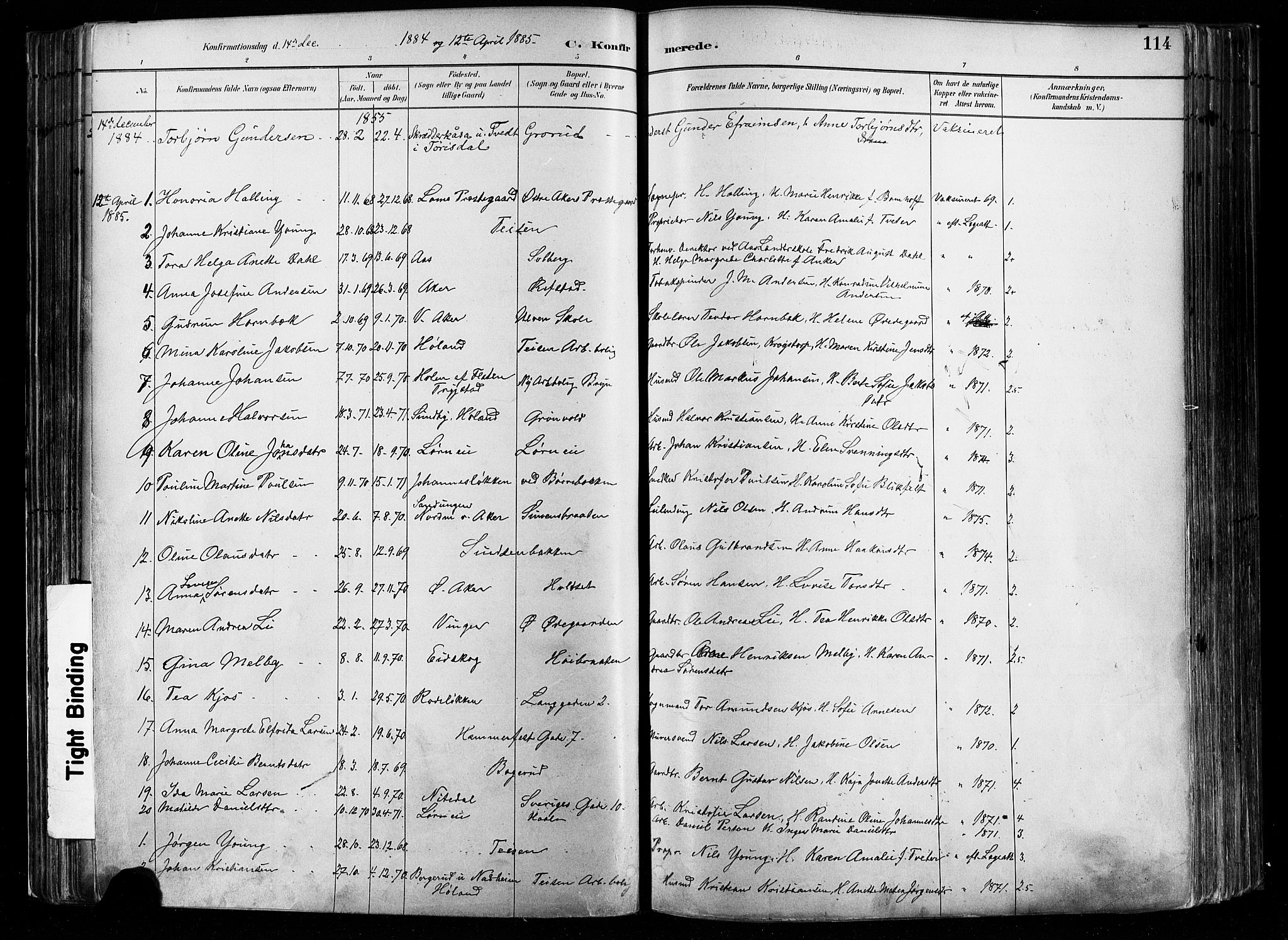 Østre Aker prestekontor Kirkebøker, AV/SAO-A-10840/F/Fa/L0008: Parish register (official) no. I 8, 1883-1894, p. 114