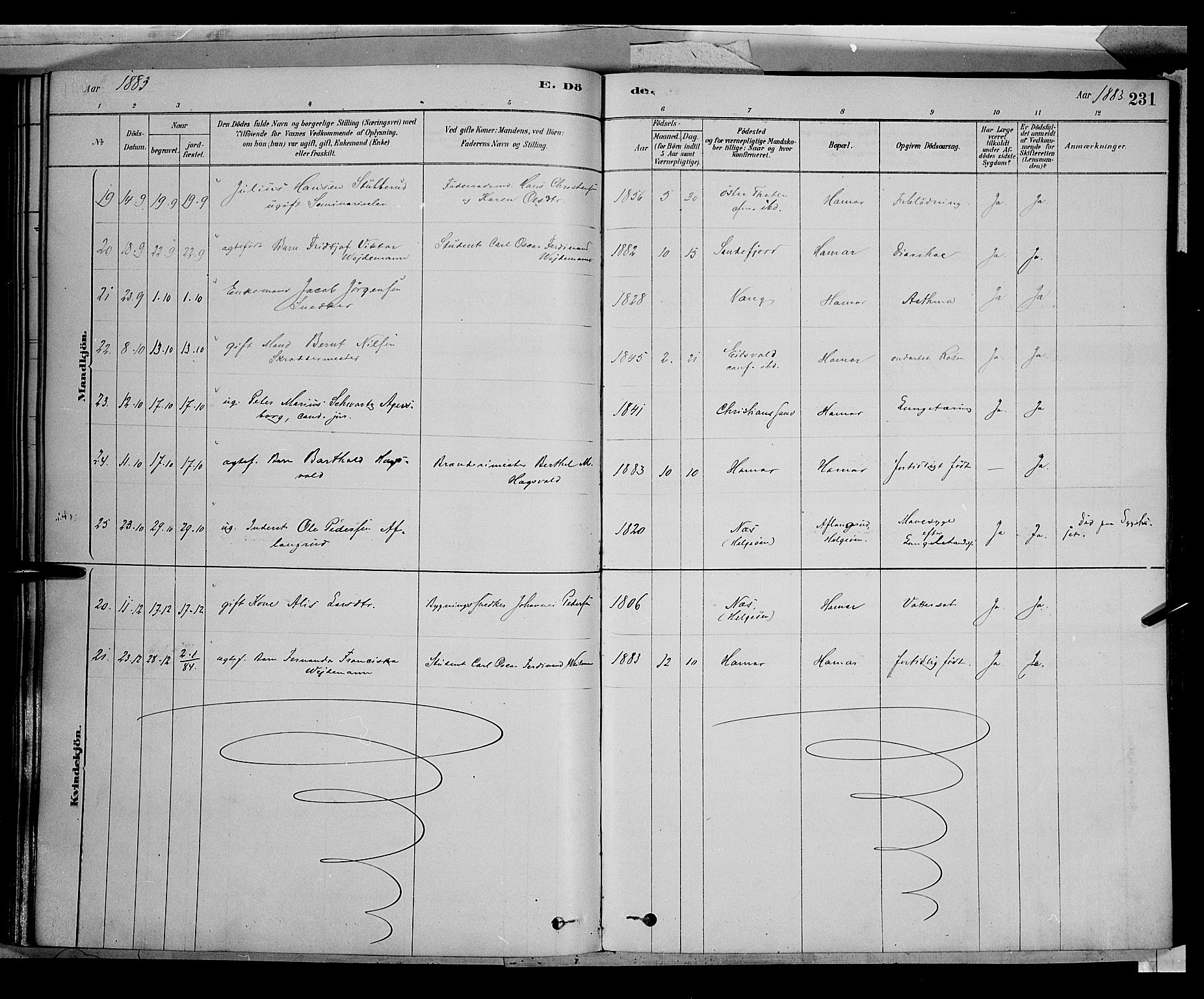 Vang prestekontor, Hedmark, AV/SAH-PREST-008/H/Ha/Haa/L0016: Parish register (official) no. 16, 1878-1889, p. 231