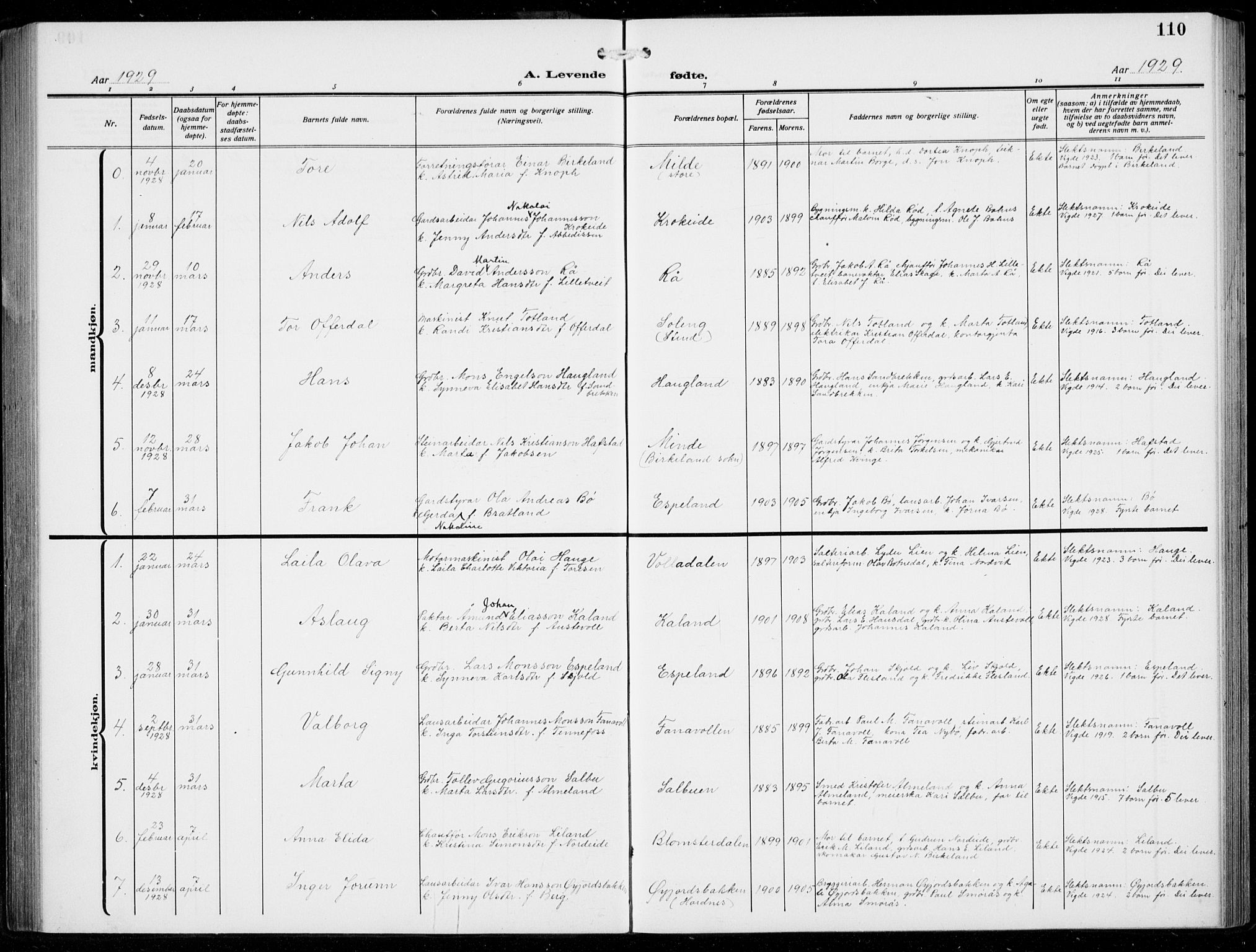 Fana Sokneprestembete, AV/SAB-A-75101/H/Hab/Haba/L0005: Parish register (copy) no. A 5, 1911-1932, p. 110