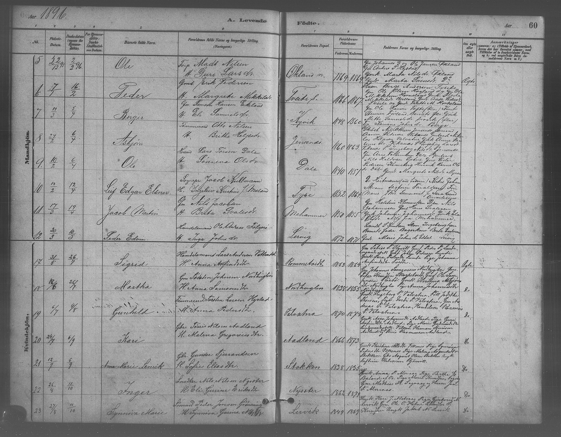Stord sokneprestembete, SAB/A-78201/H/Hab: Parish register (copy) no. A 2, 1879-1909, p. 60