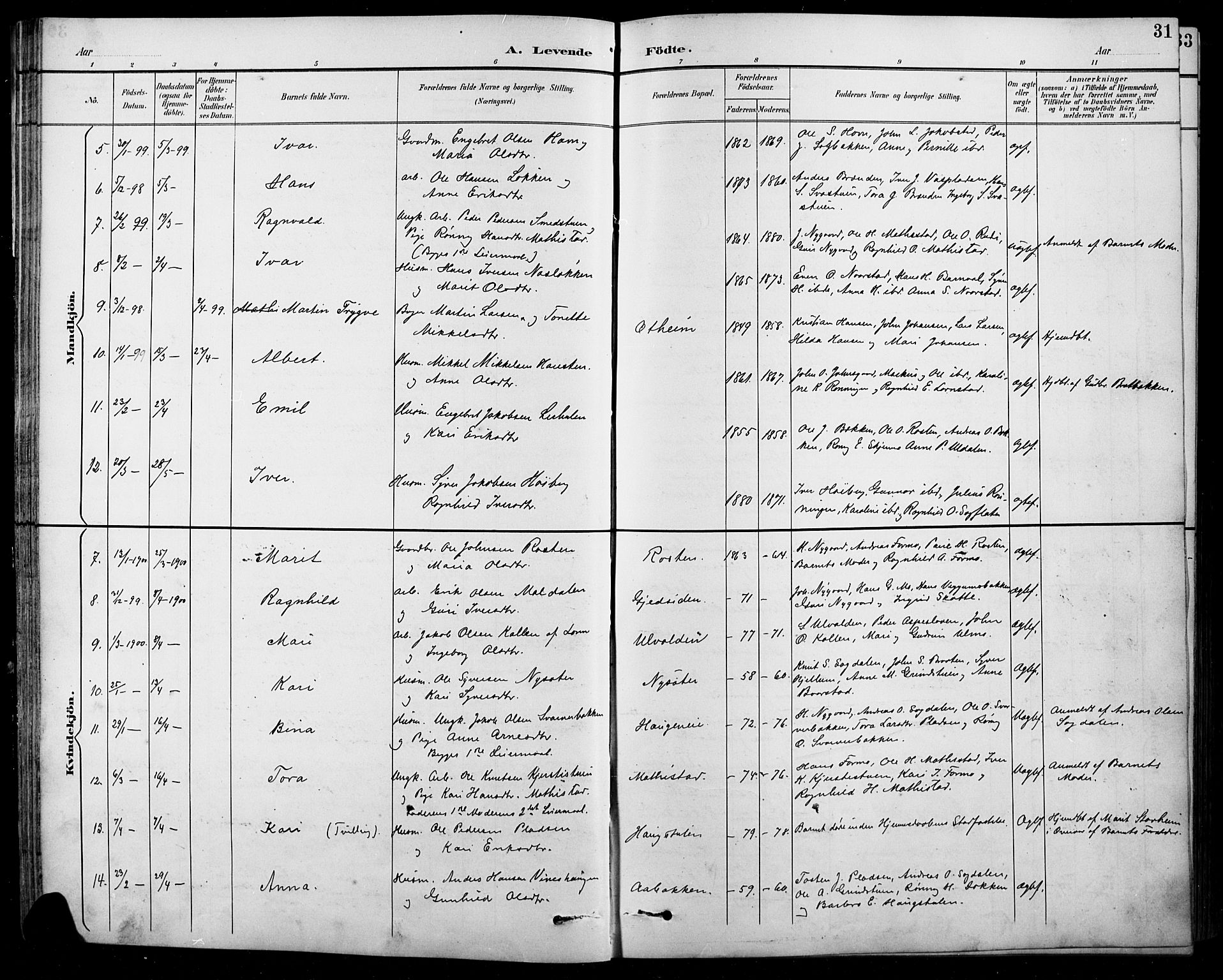 Sel prestekontor, SAH/PREST-074/H/Ha/Hab/L0001: Parish register (copy) no. 1, 1894-1923, p. 31