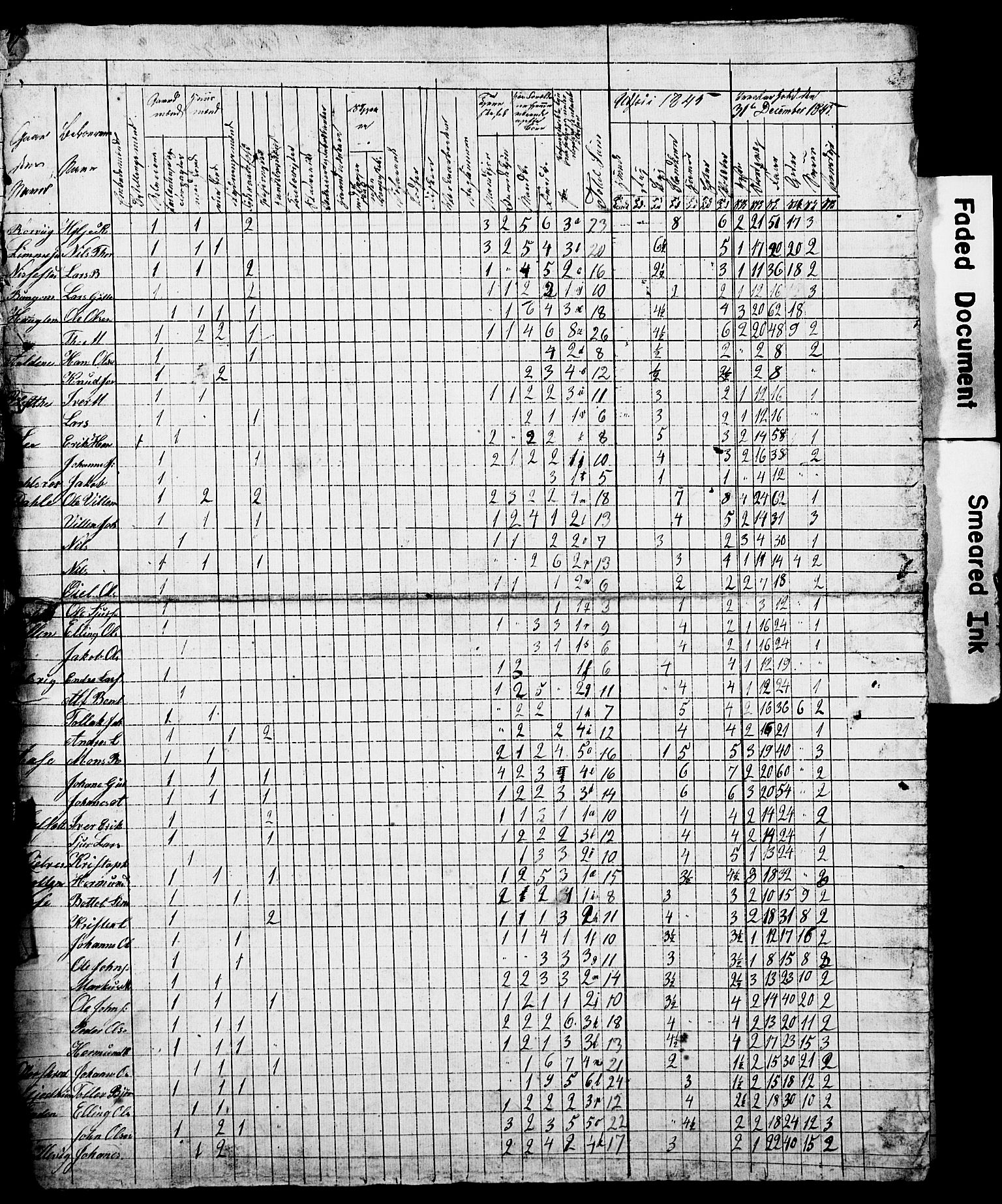 , Census 1845 for Vik, 1845, p. 13