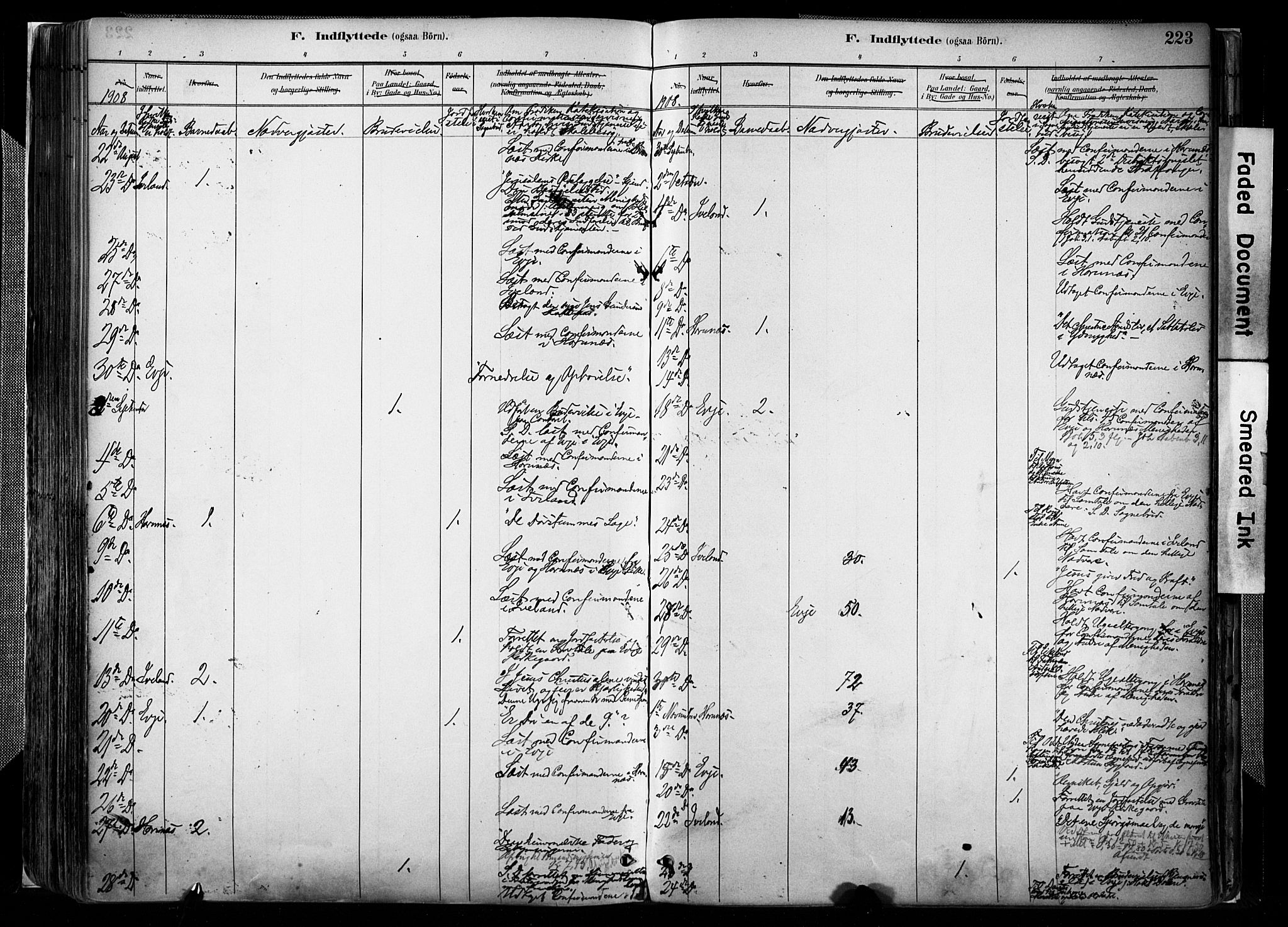 Evje sokneprestkontor, AV/SAK-1111-0008/F/Fa/Faa/L0007: Parish register (official) no. A 7, 1884-1909, p. 223