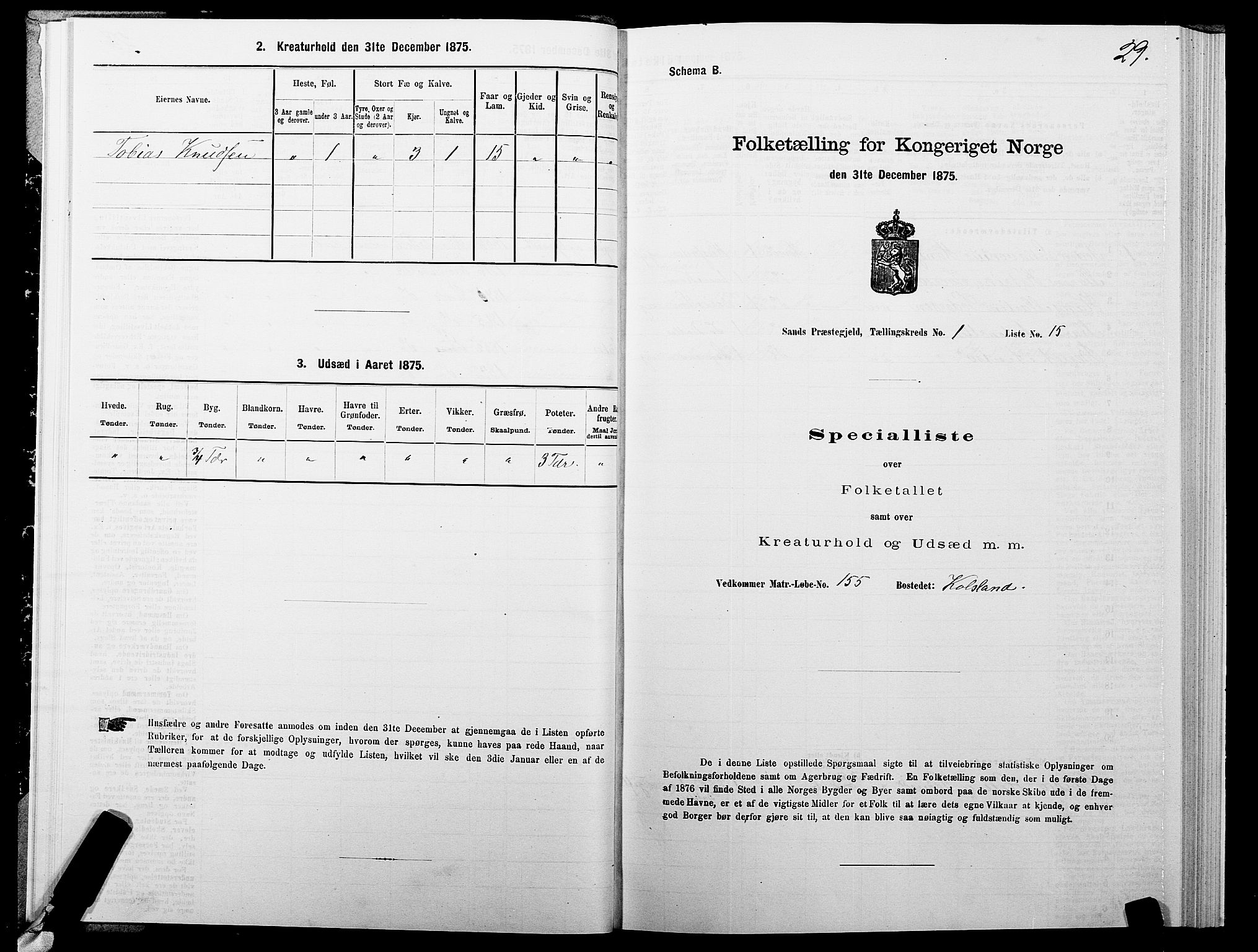 SATØ, 1875 census for 1915P Sand, 1875, p. 1029