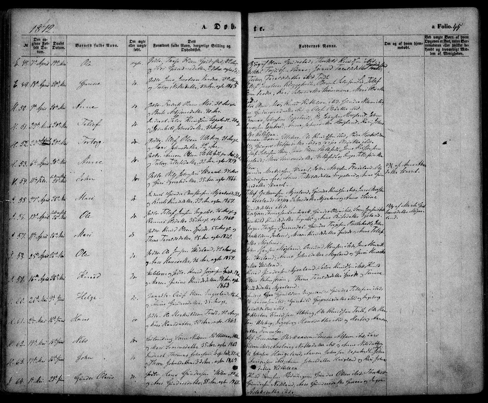 Evje sokneprestkontor, AV/SAK-1111-0008/F/Fa/Faa/L0006: Parish register (official) no. A 6, 1866-1884, p. 45