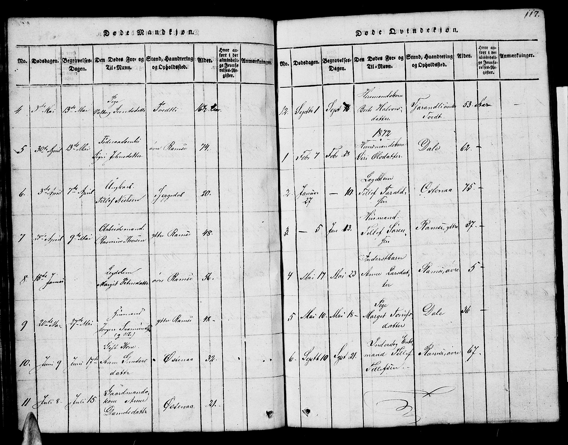 Åmli sokneprestkontor, AV/SAK-1111-0050/F/Fb/Fbb/L0001: Parish register (copy) no. B 1, 1816-1889, p. 117