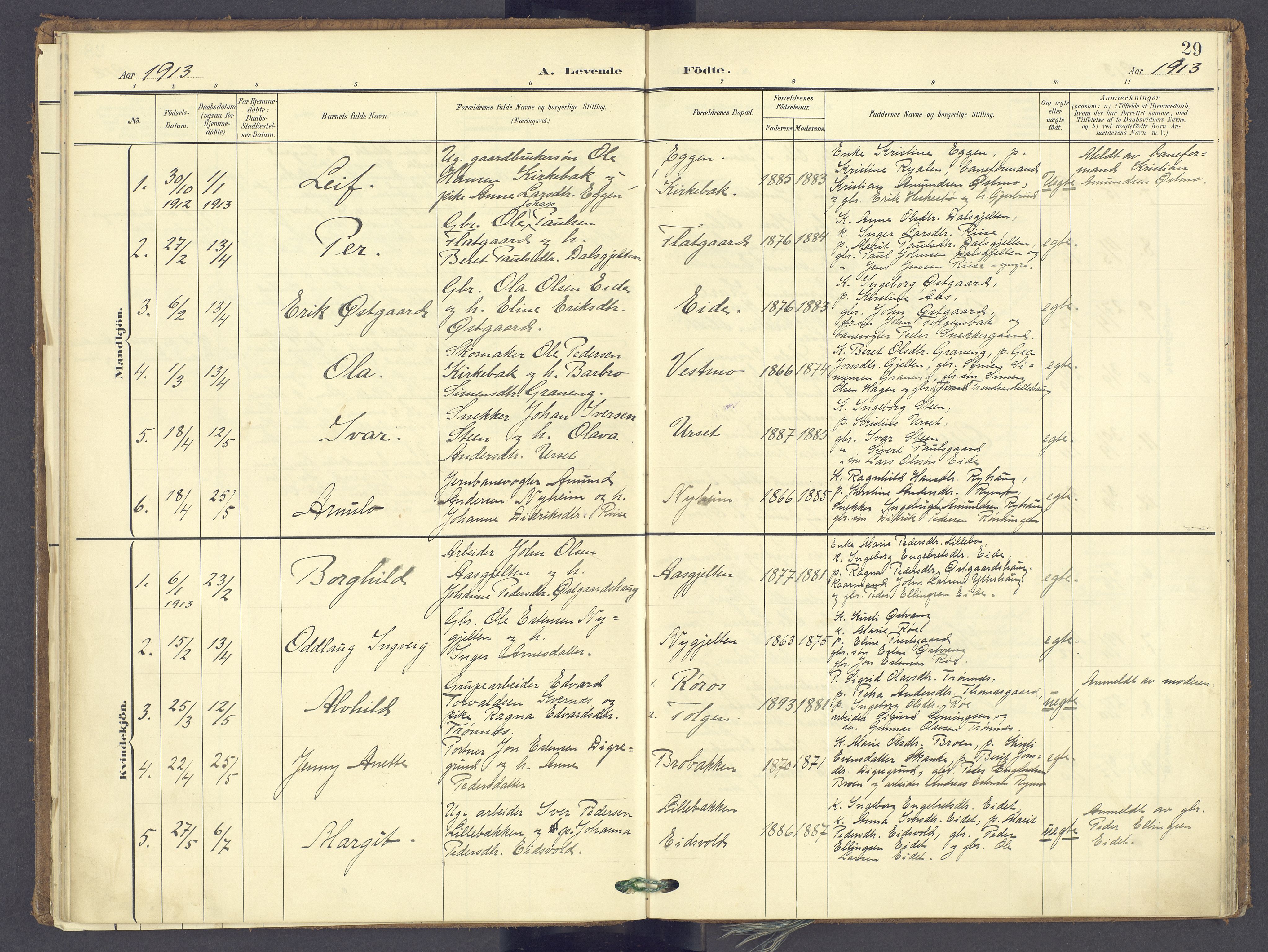 Tolga prestekontor, SAH/PREST-062/K/L0014: Parish register (official) no. 14, 1903-1929, p. 29