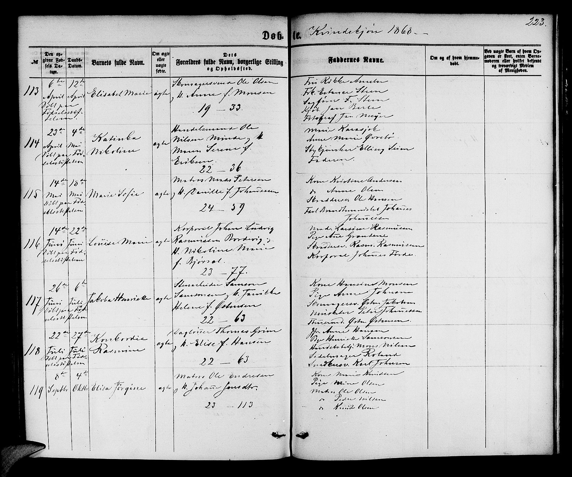 Korskirken sokneprestembete, SAB/A-76101/H/Hab: Parish register (copy) no. B 5, 1863-1868, p. 223