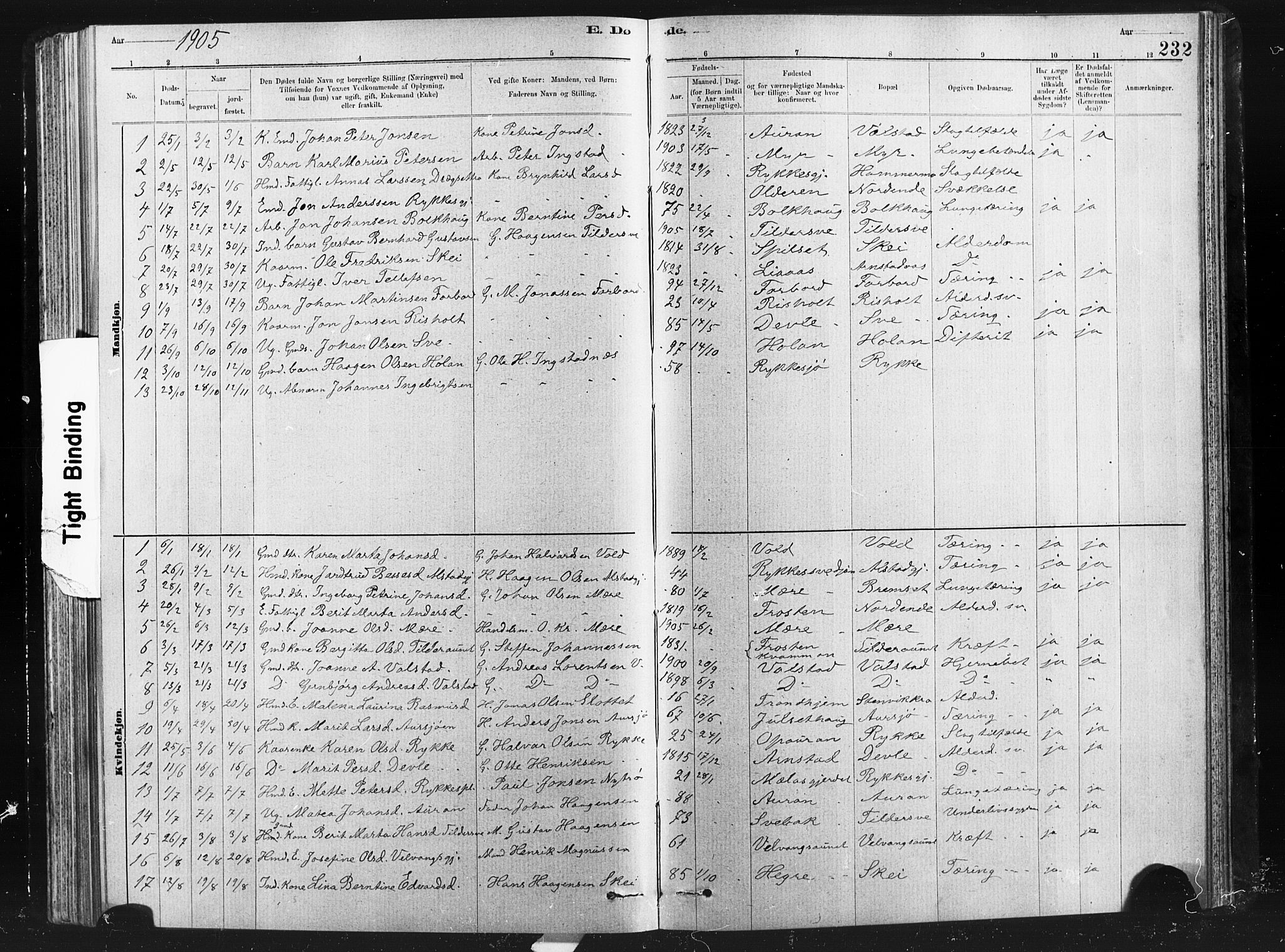 Ministerialprotokoller, klokkerbøker og fødselsregistre - Nord-Trøndelag, AV/SAT-A-1458/712/L0103: Parish register (copy) no. 712C01, 1878-1917, p. 232