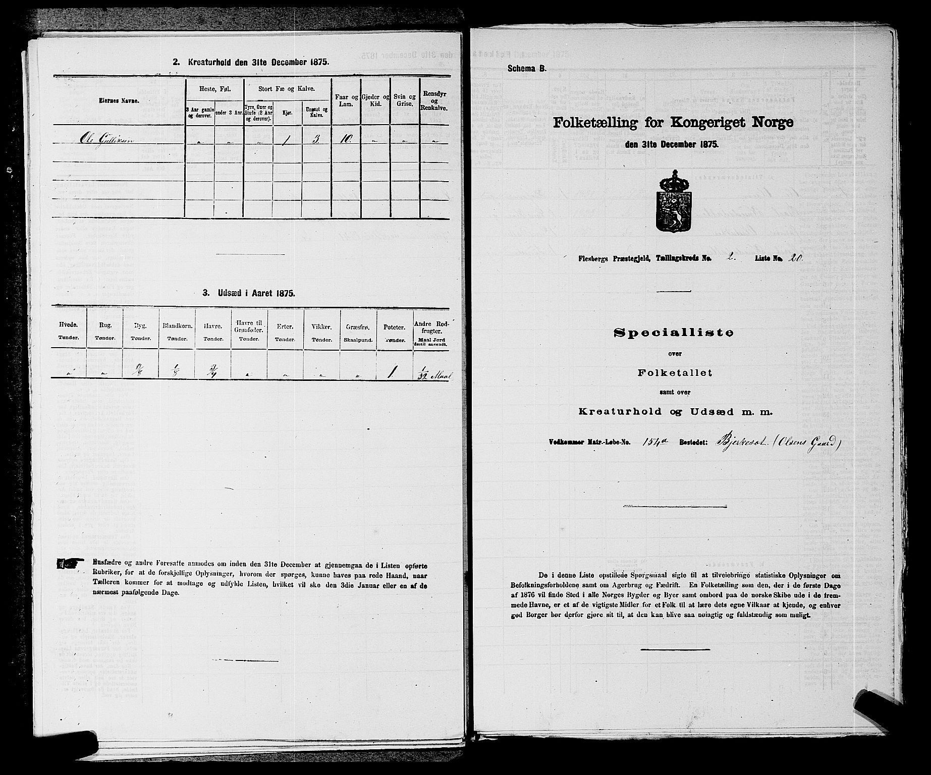 SAKO, 1875 census for 0631P Flesberg, 1875, p. 519