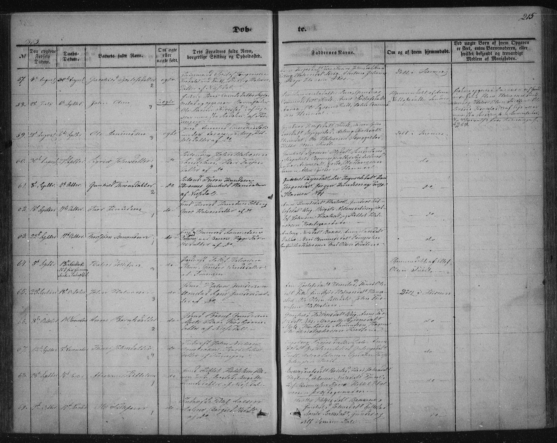 Nissedal kirkebøker, SAKO/A-288/F/Fa/L0003: Parish register (official) no. I 3, 1846-1870, p. 214-215
