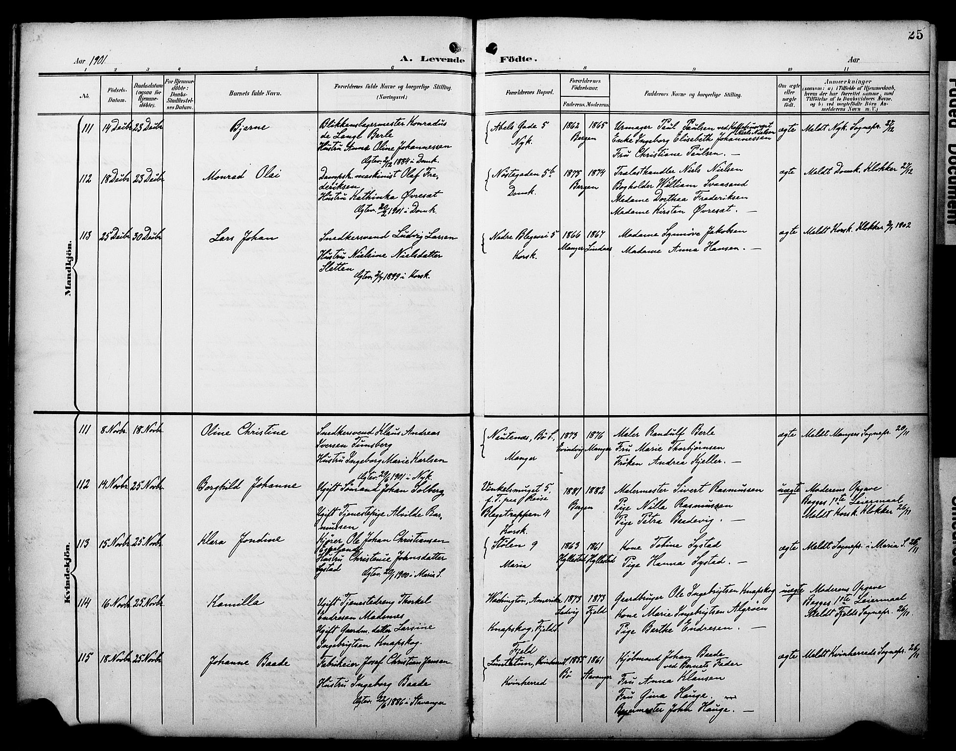 Fødselsstiftelsens sokneprestembete*, SAB/-: Parish register (official) no. A 3, 1901-1910, p. 25