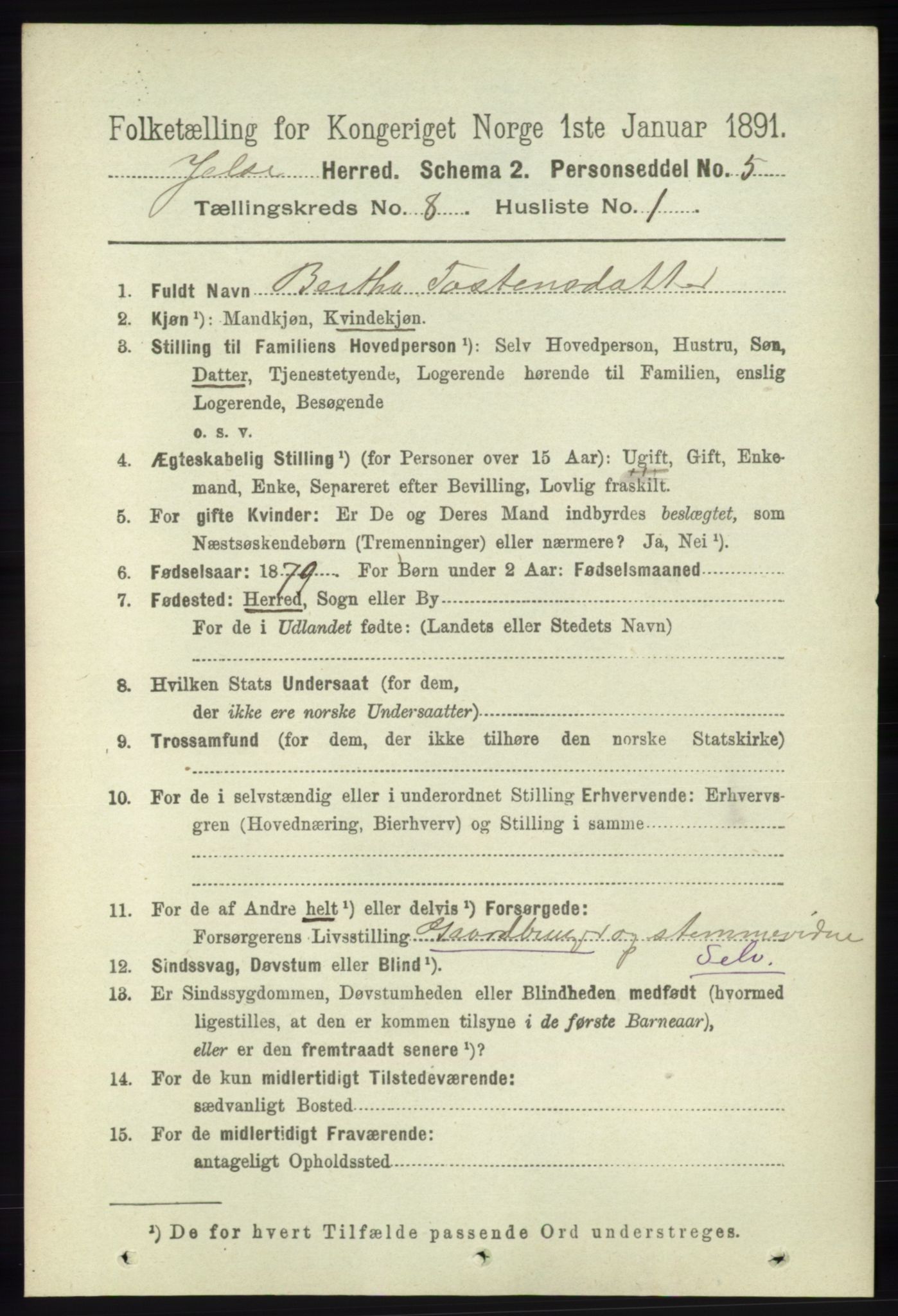 RA, 1891 census for 1138 Jelsa, 1891, p. 1807