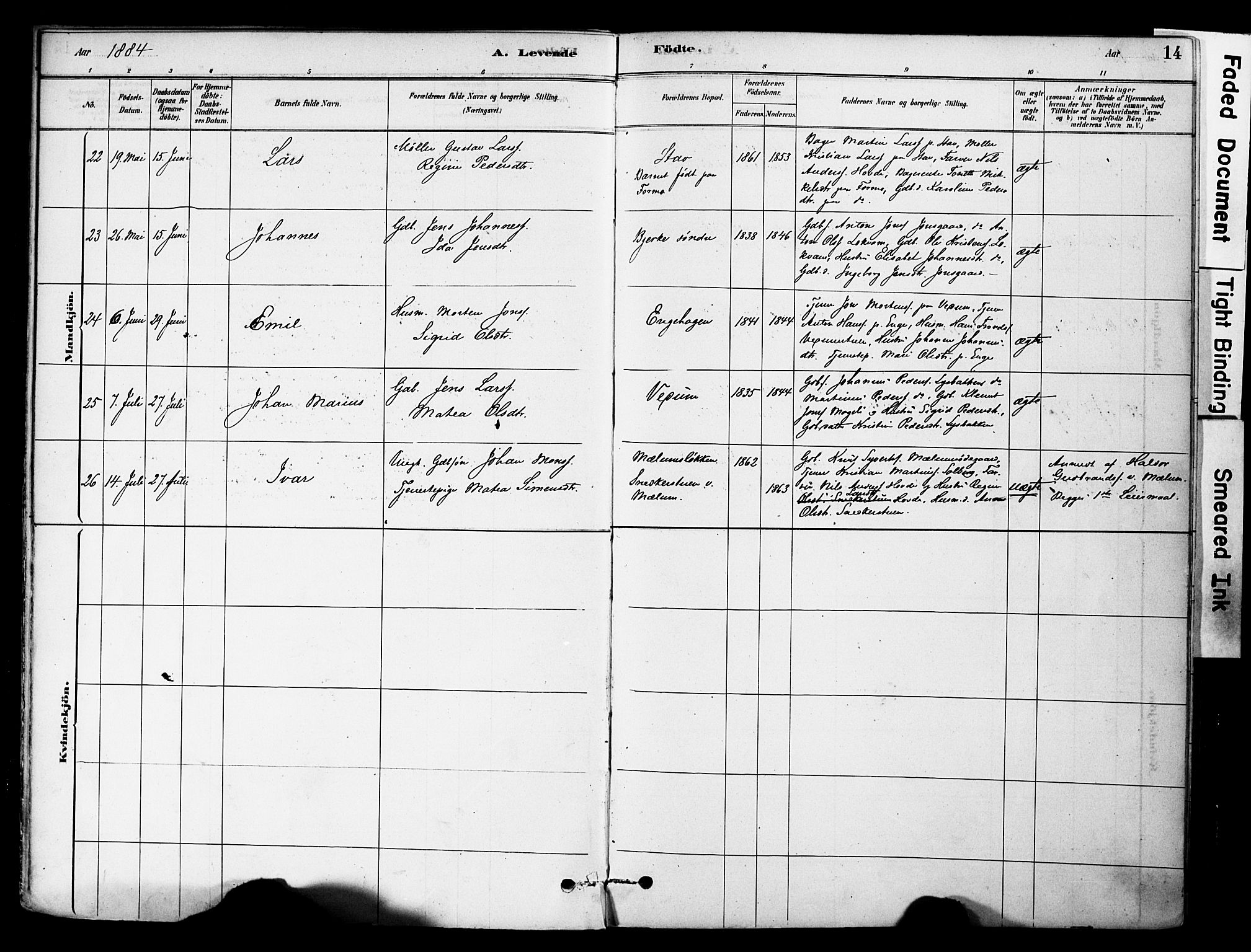 Øyer prestekontor, AV/SAH-PREST-084/H/Ha/Haa/L0009: Parish register (official) no. 9, 1878-1893, p. 14