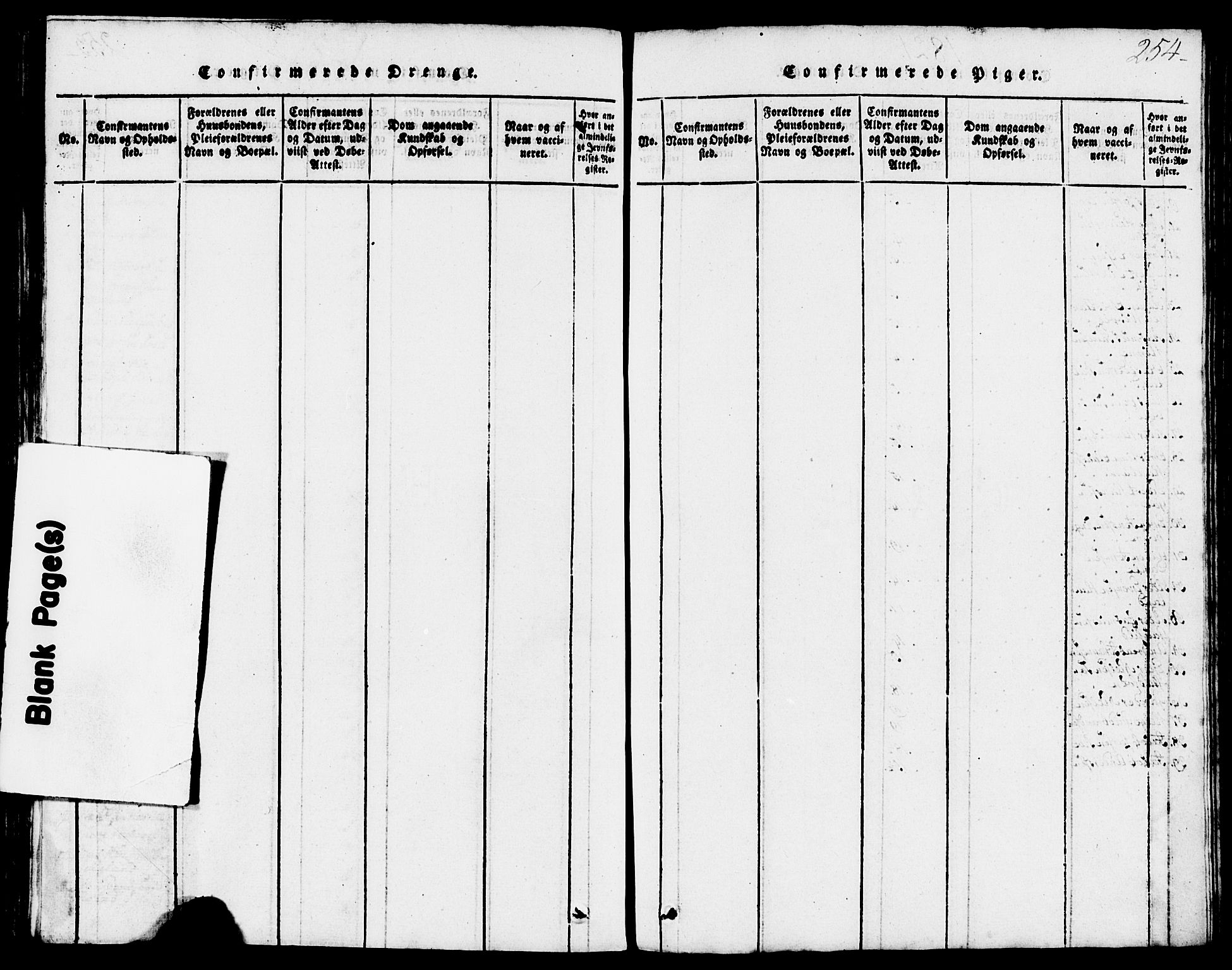 Domkirken sokneprestkontor, AV/SAST-A-101812/001/30/30BB/L0008: Parish register (copy) no. B 8, 1816-1821, p. 254