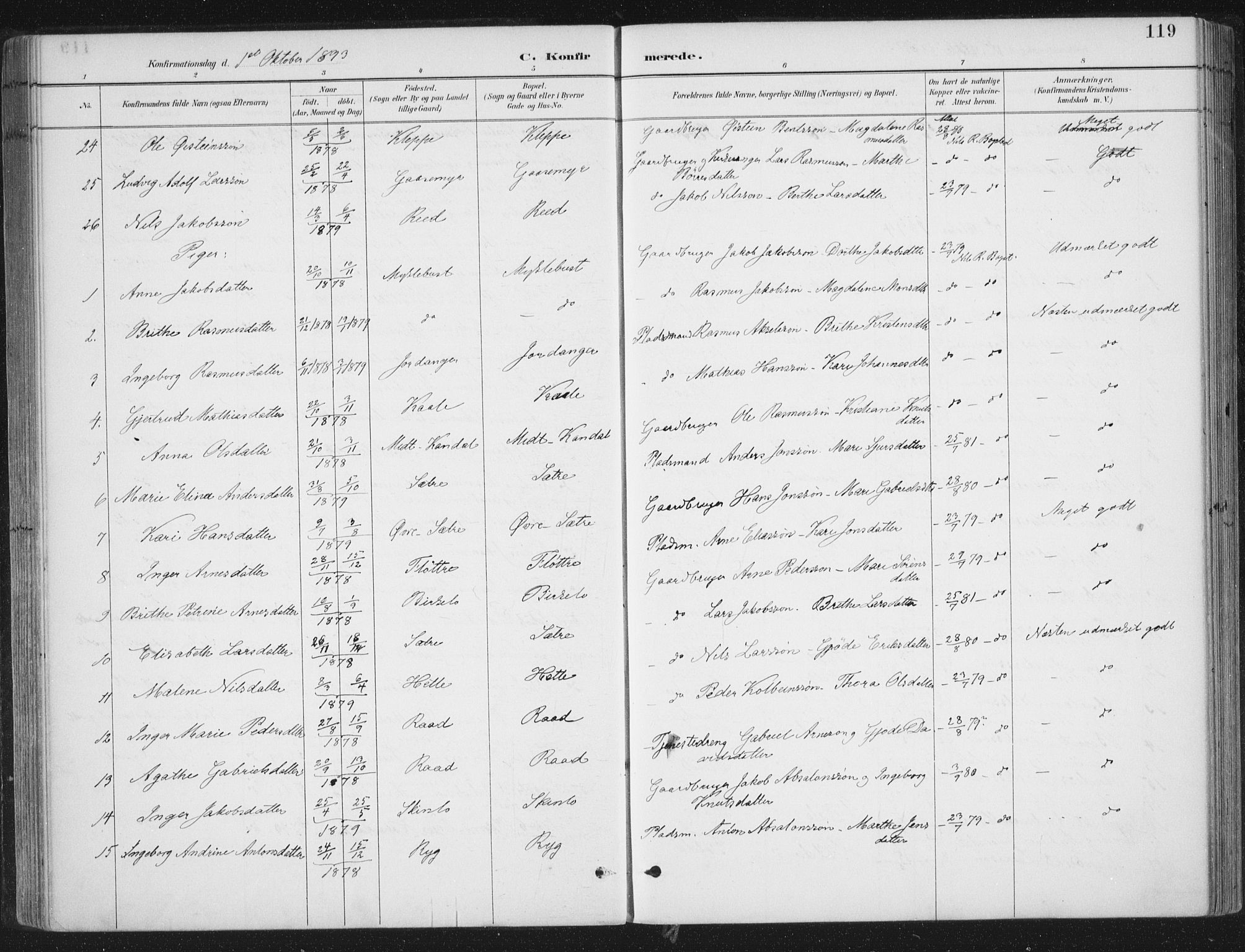 Gloppen sokneprestembete, AV/SAB-A-80101/H/Haa/Haac/L0002: Parish register (official) no. C  2, 1887-1904, p. 119