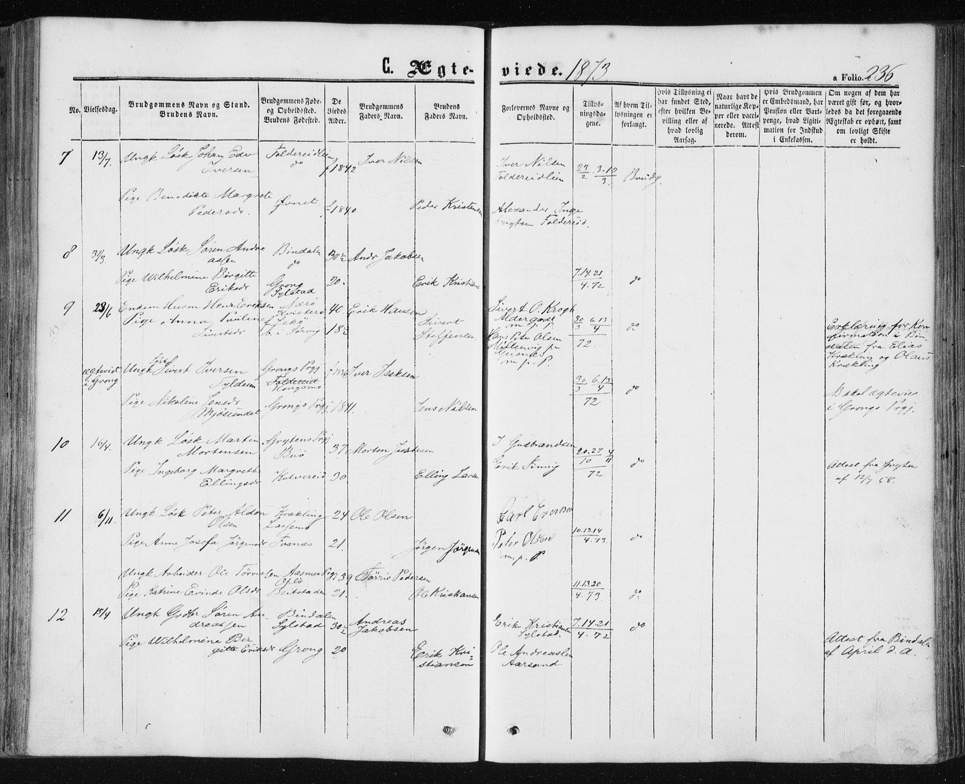 Ministerialprotokoller, klokkerbøker og fødselsregistre - Nord-Trøndelag, SAT/A-1458/780/L0641: Parish register (official) no. 780A06, 1857-1874, p. 236