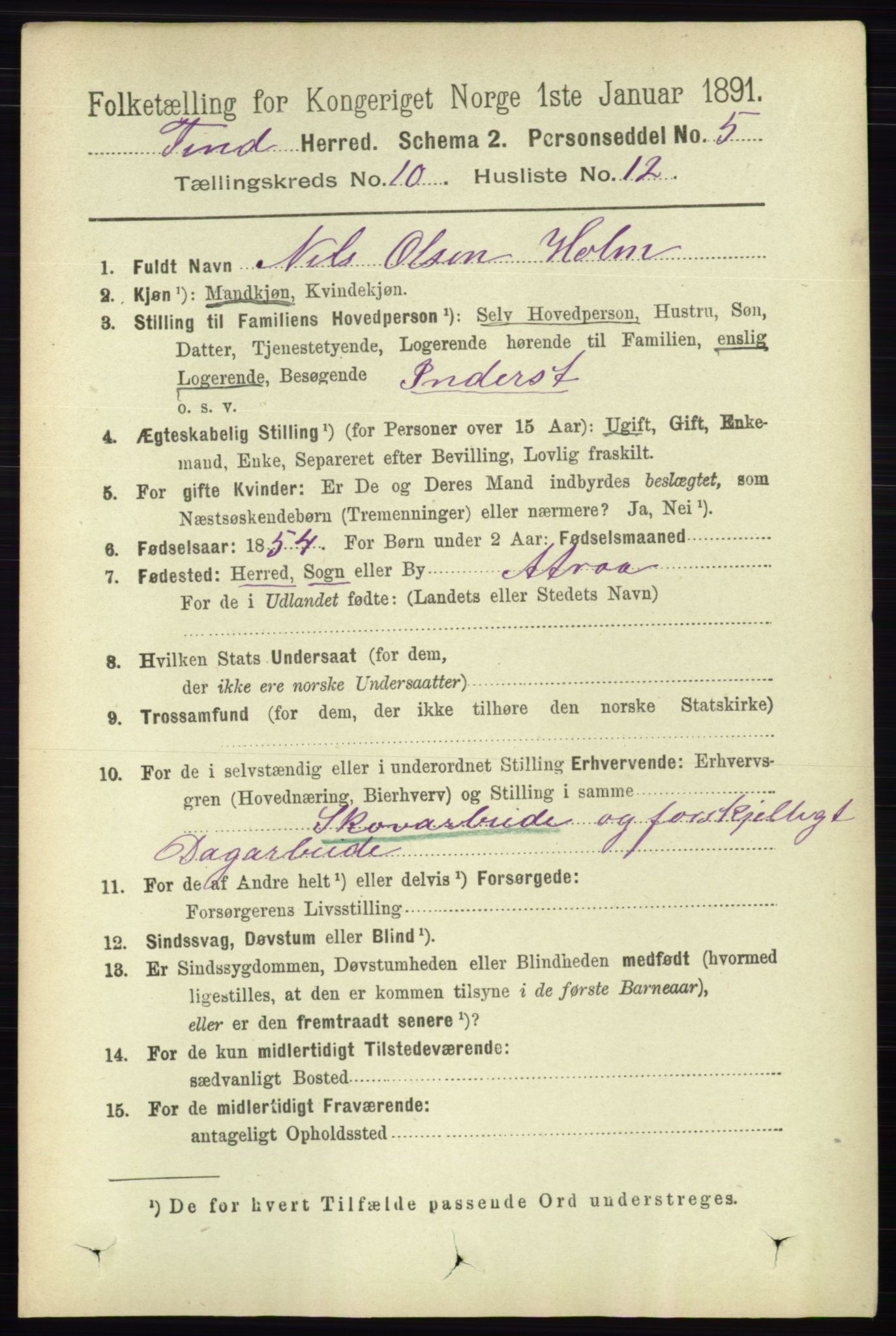 RA, 1891 census for 0826 Tinn, 1891, p. 2032