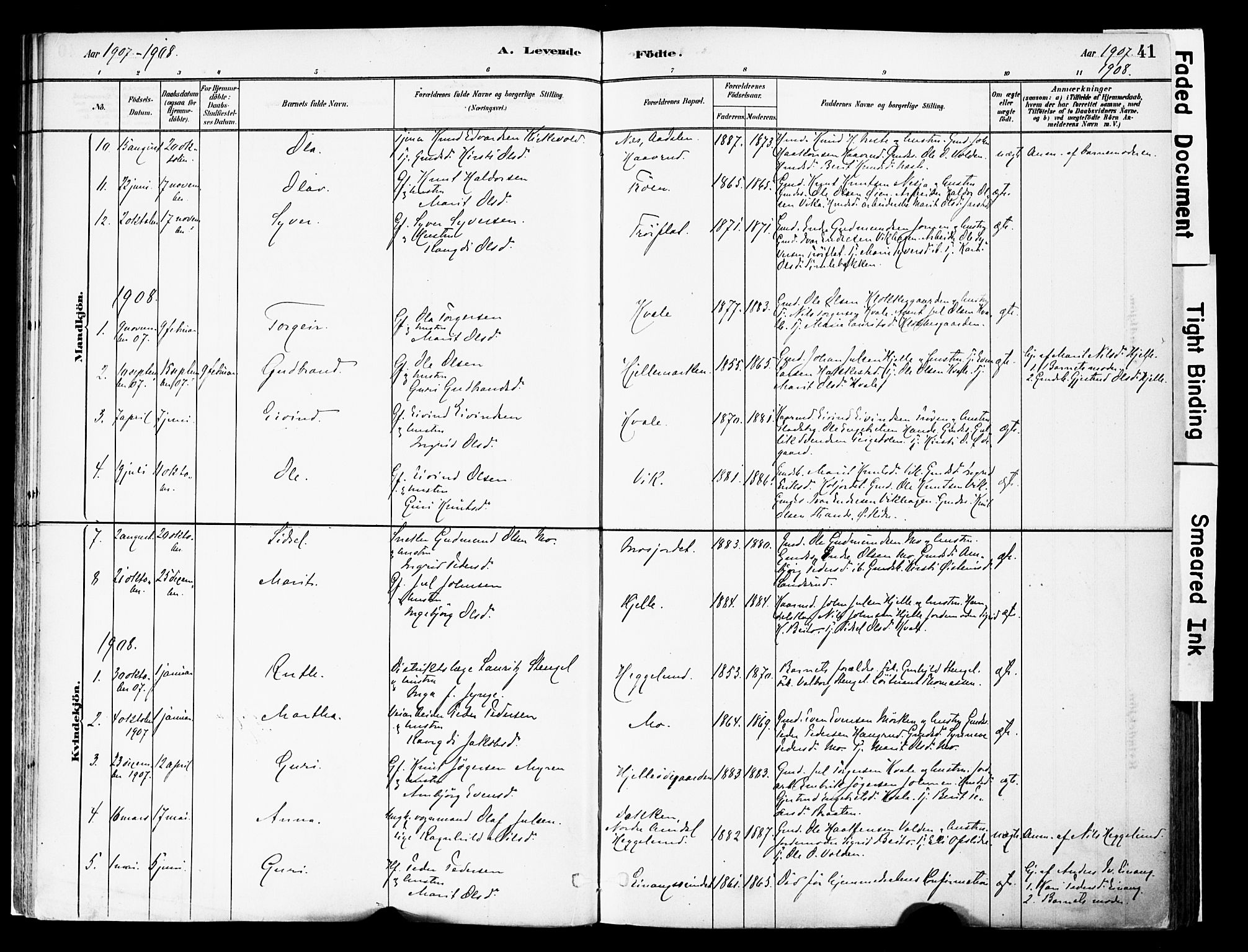 Vestre Slidre prestekontor, SAH/PREST-136/H/Ha/Haa/L0004: Parish register (official) no. 4, 1881-1911, p. 41