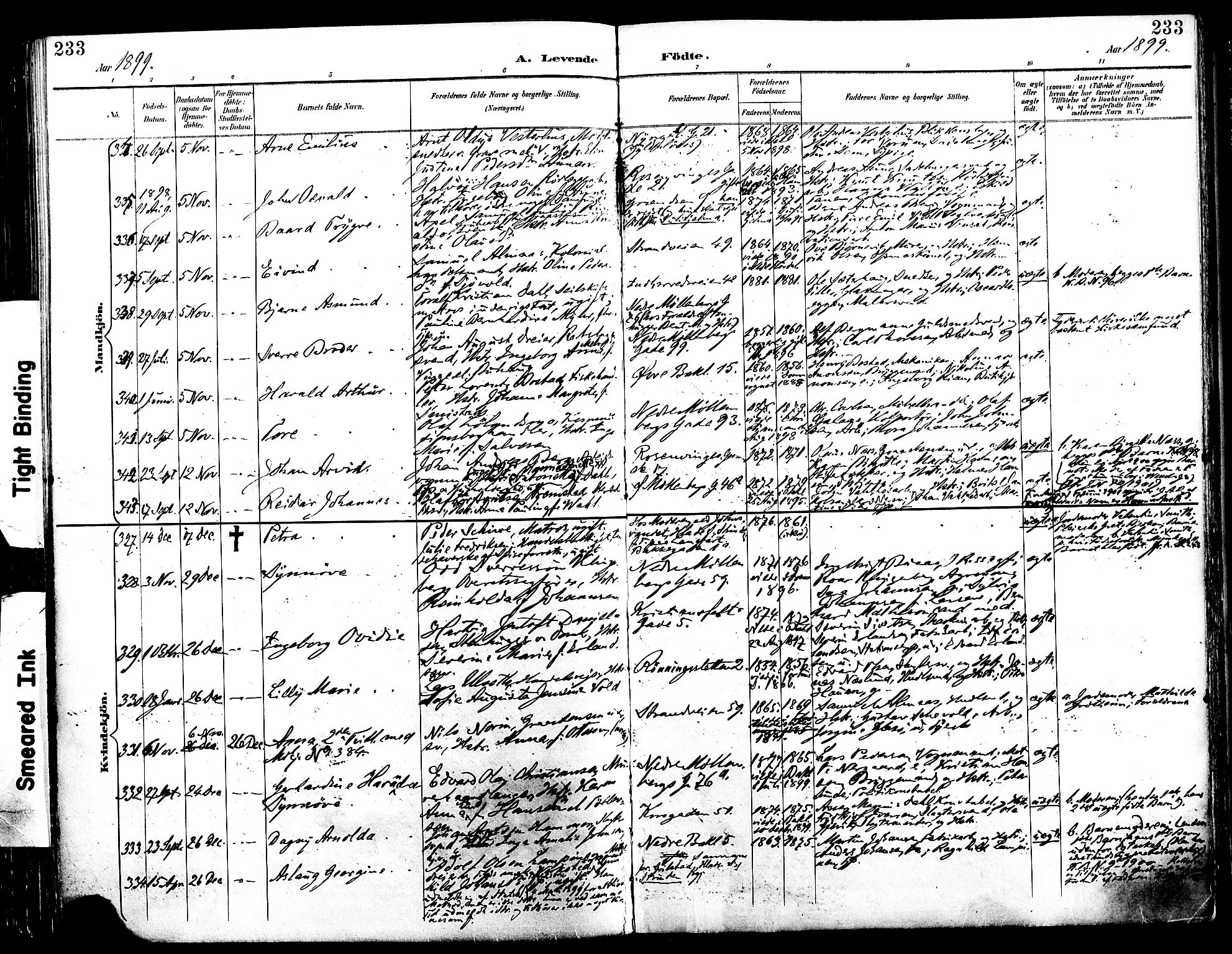 Ministerialprotokoller, klokkerbøker og fødselsregistre - Sør-Trøndelag, AV/SAT-A-1456/604/L0197: Parish register (official) no. 604A18, 1893-1900, p. 233