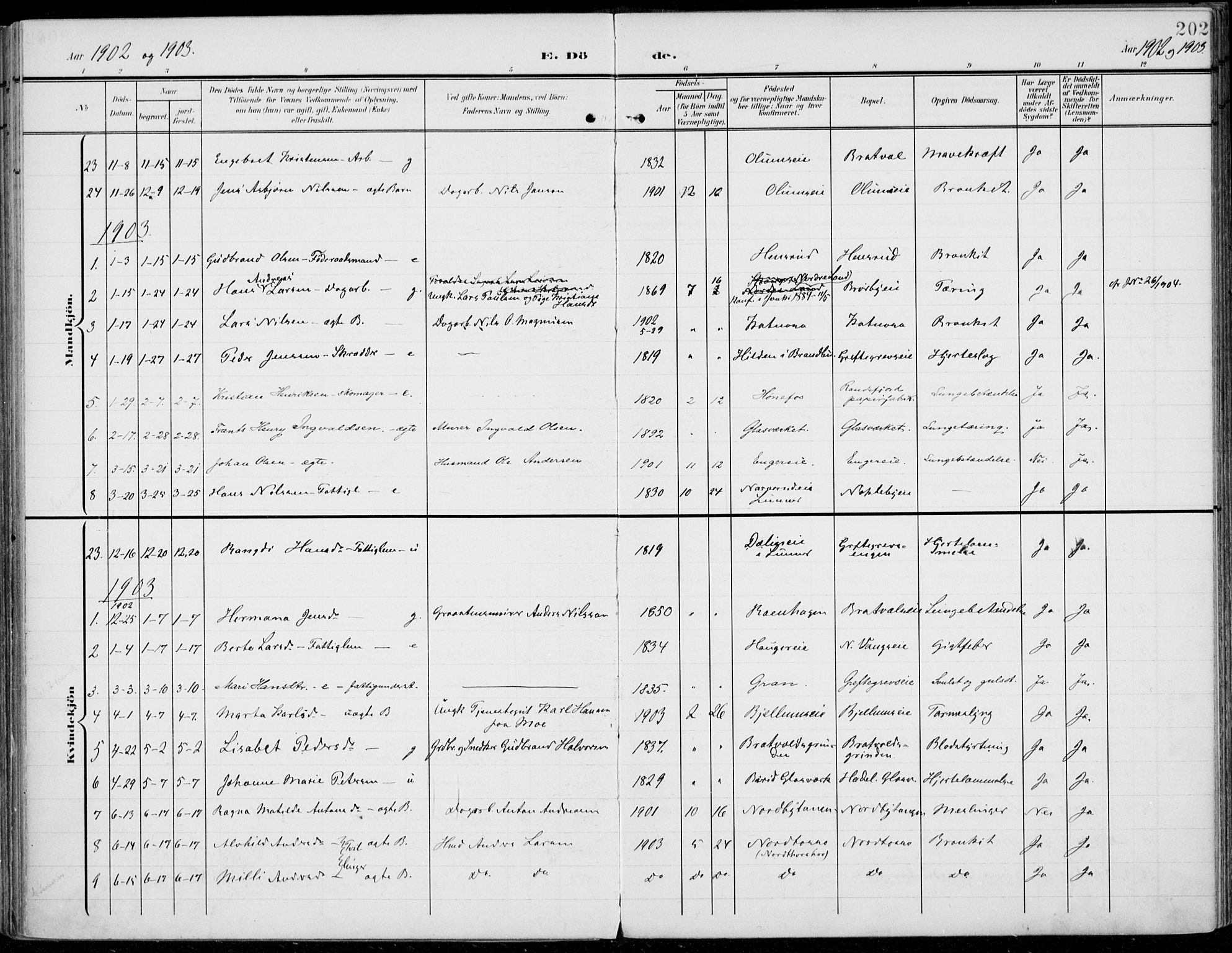 Jevnaker prestekontor, AV/SAH-PREST-116/H/Ha/Haa/L0011: Parish register (official) no. 11, 1902-1913, p. 202