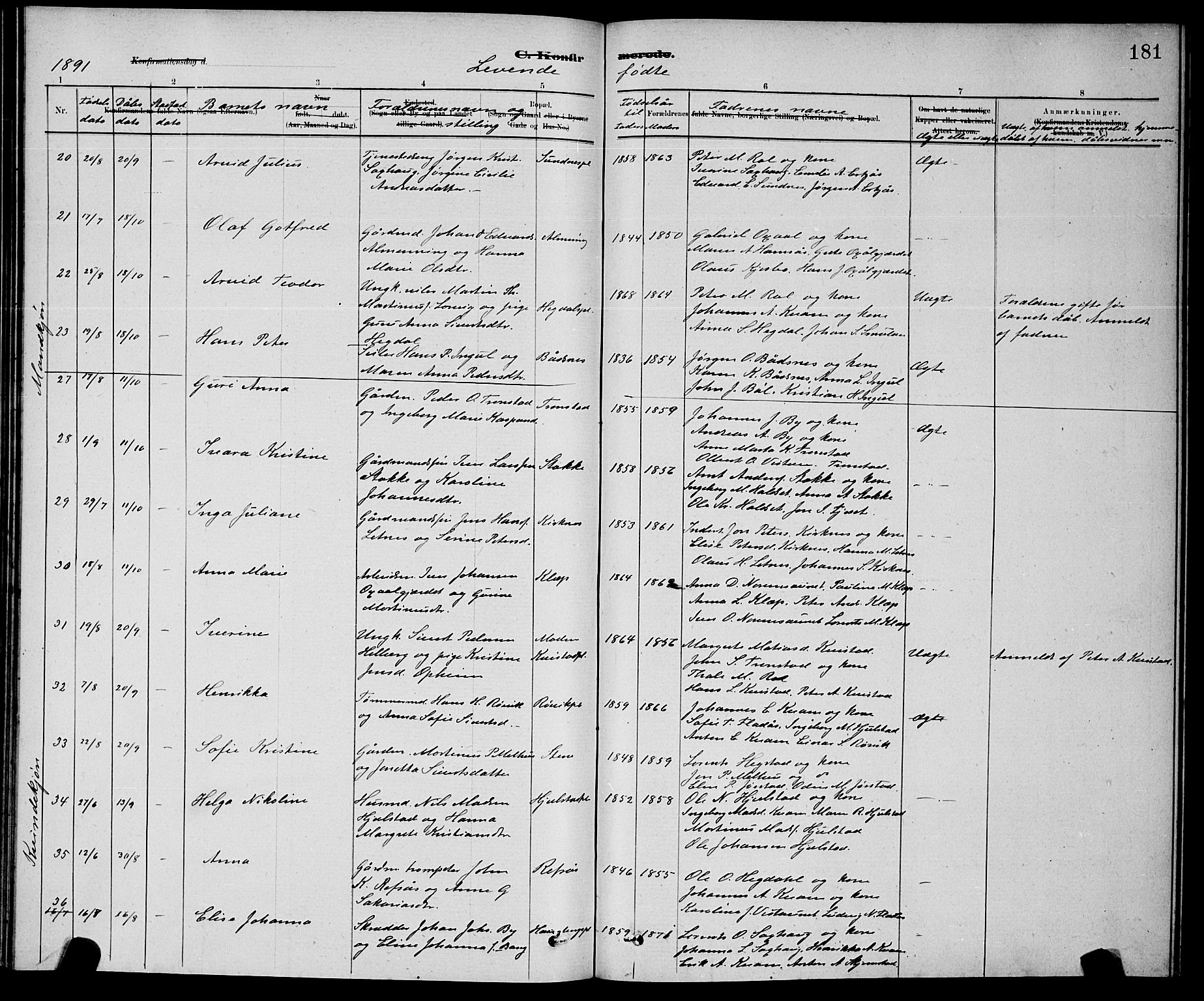 Ministerialprotokoller, klokkerbøker og fødselsregistre - Nord-Trøndelag, AV/SAT-A-1458/730/L0301: Parish register (copy) no. 730C04, 1880-1897, p. 181