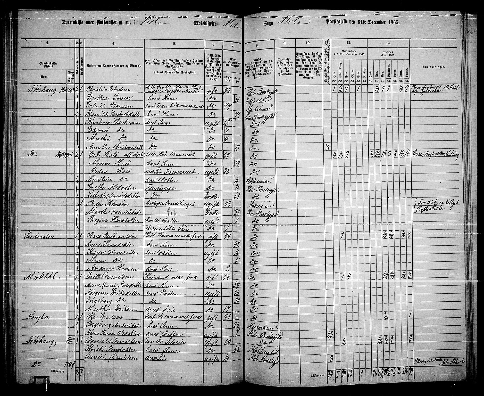 RA, 1865 census for Hole, 1865, p. 106