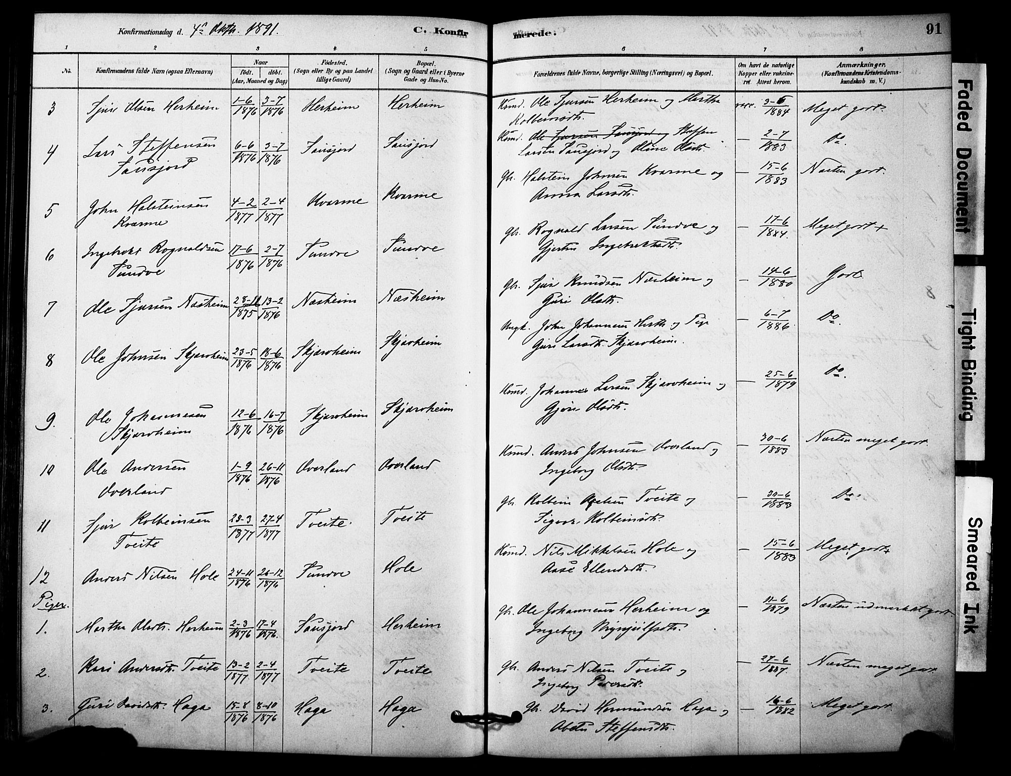 Vossestrand Sokneprestembete, SAB/A-79101/H/Haa: Parish register (official) no. C 1, 1878-1903, p. 91