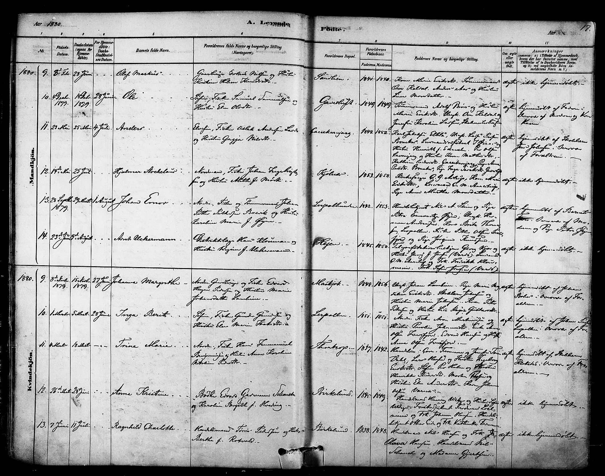 Tana sokneprestkontor, SATØ/S-1334/H/Ha/L0004kirke: Parish register (official) no. 4, 1878-1891, p. 17