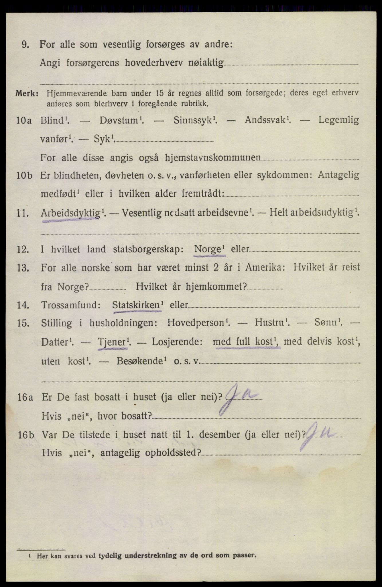 SAKO, 1920 census for Lunde, 1920, p. 3832