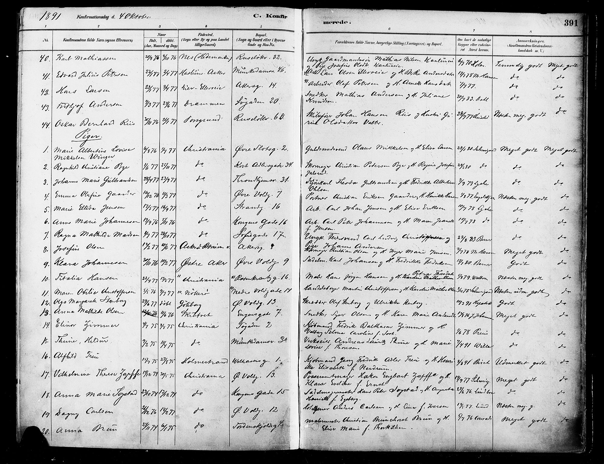 Johannes prestekontor Kirkebøker, AV/SAO-A-10852/F/Fa/L0003: Parish register (official) no. 3, 1882-1896, p. 391