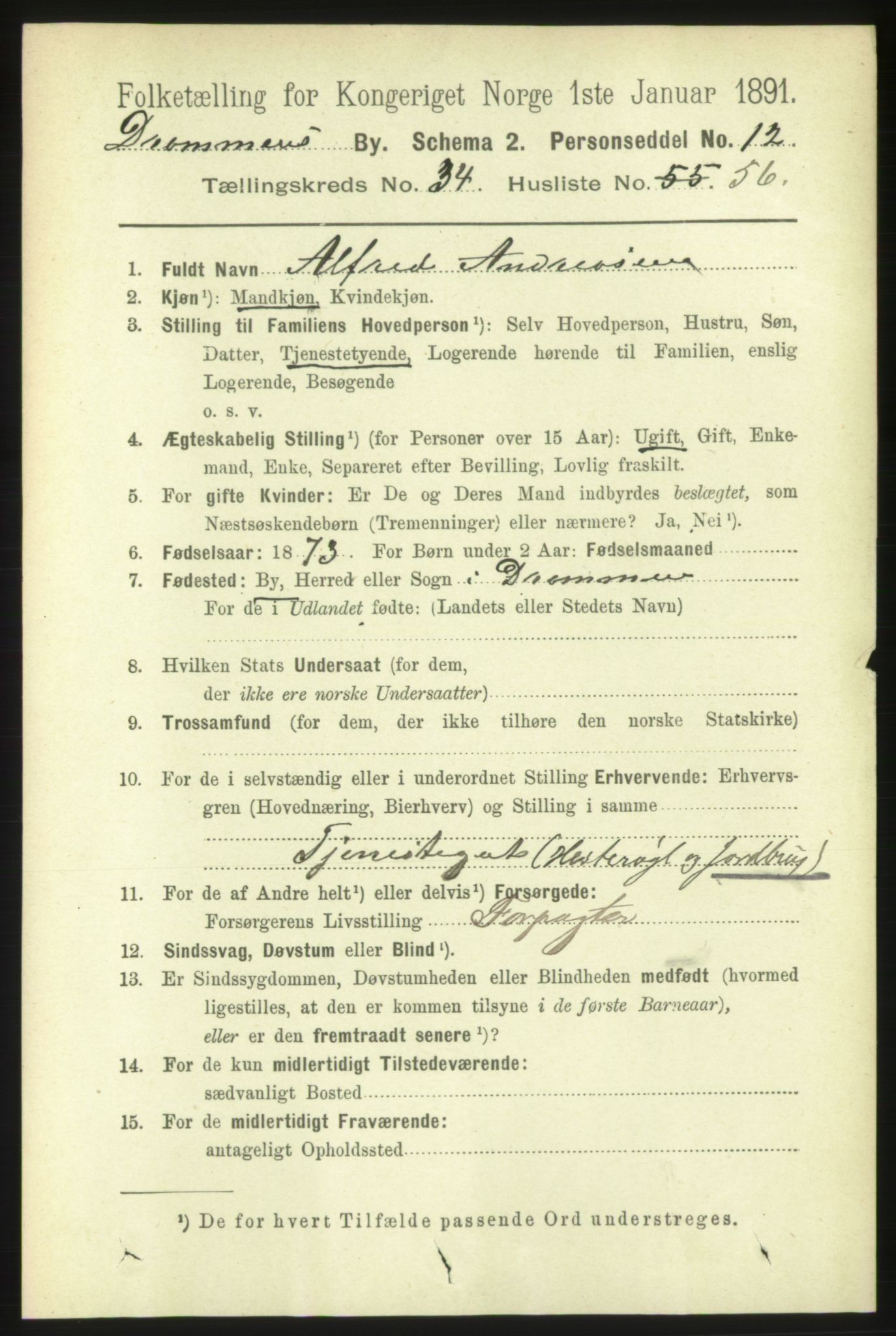 RA, 1891 census for 0602 Drammen, 1891, p. 21073