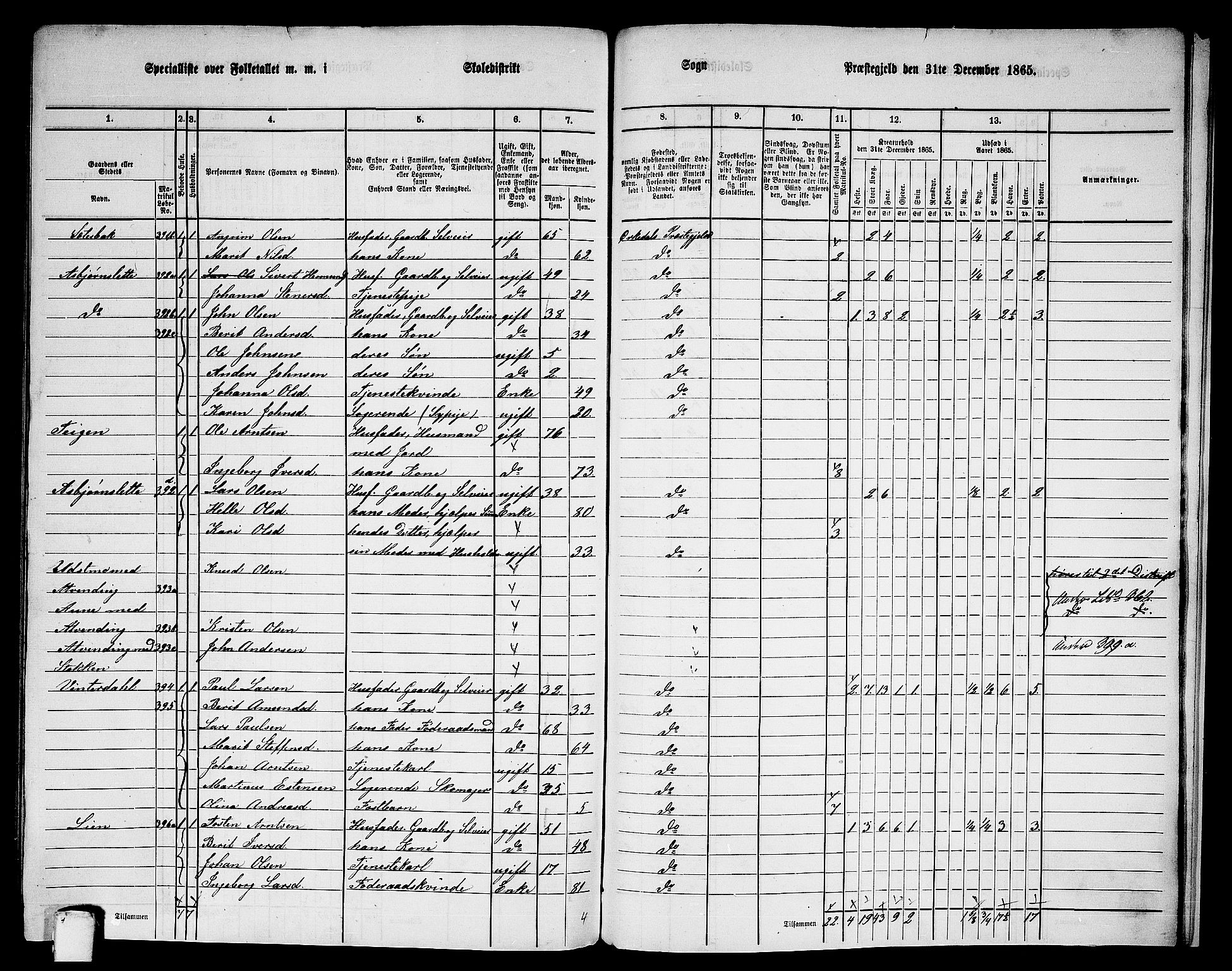 RA, 1865 census for Orkdal, 1865, p. 257