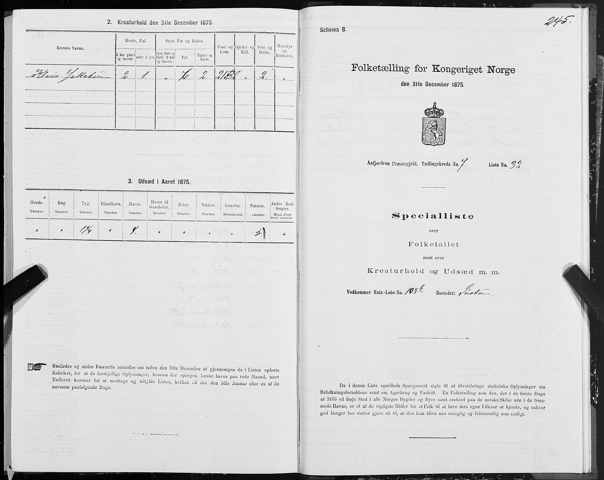 SAT, 1875 census for 1630P Aafjorden, 1875, p. 3245